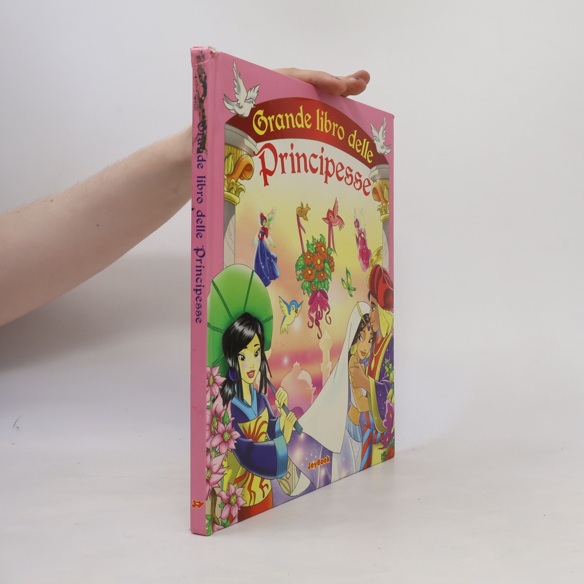 Auteurscollectief Grandi libri per ragazzi: Il grande libro delle principesse