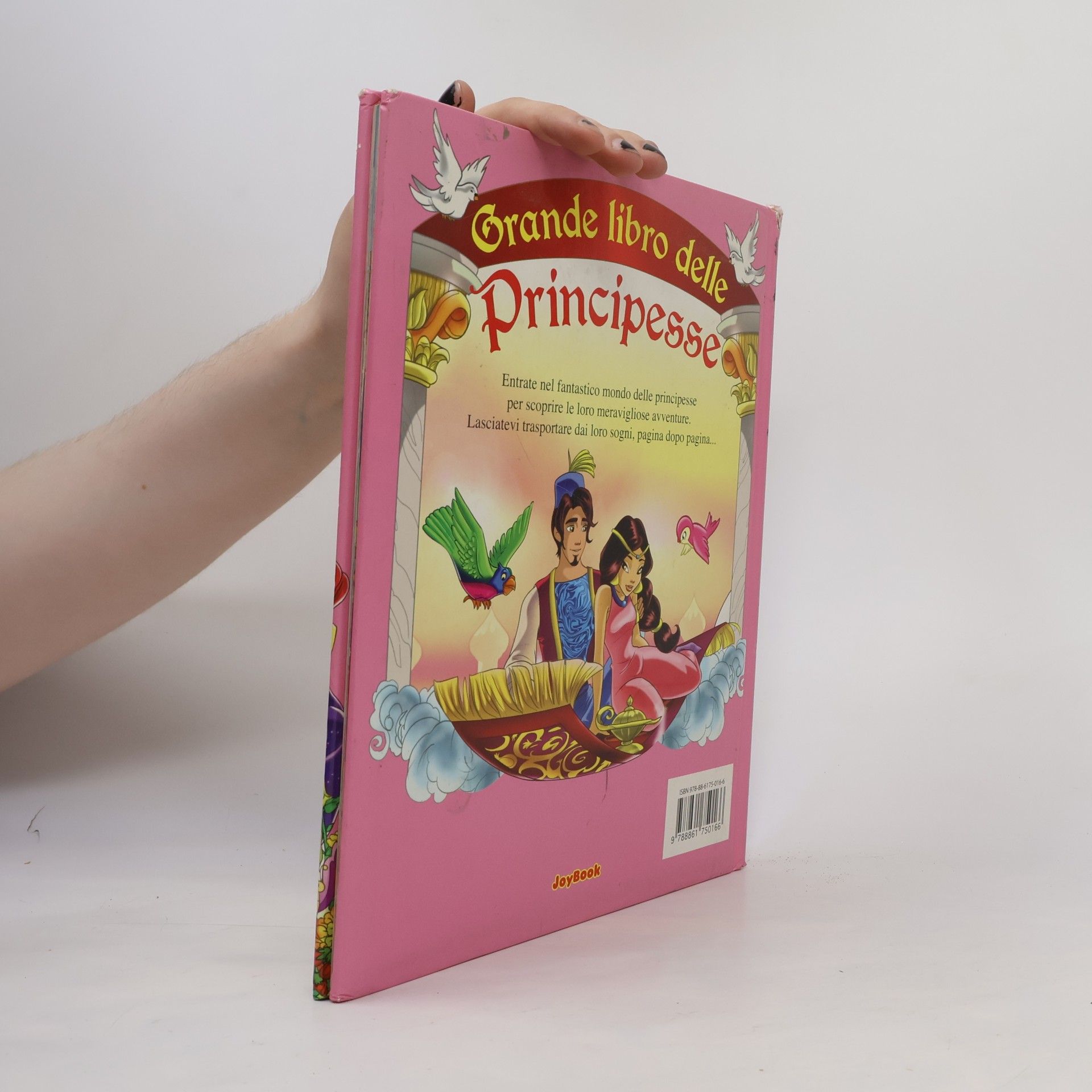 Grandi libri per ragazzi: Il grande libro delle principesse