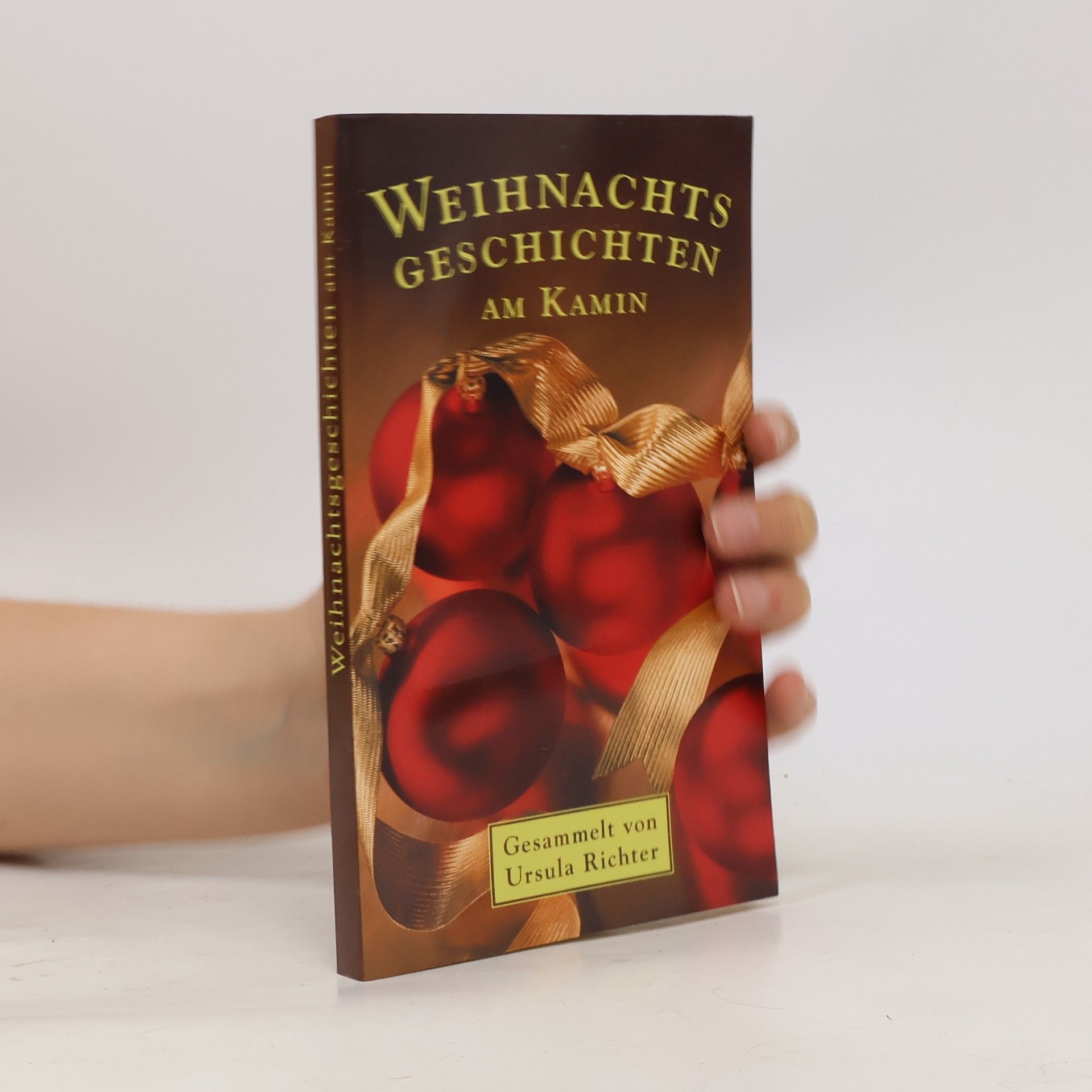 Ursula Richter Weihnachtsgeschichten am Kamin
