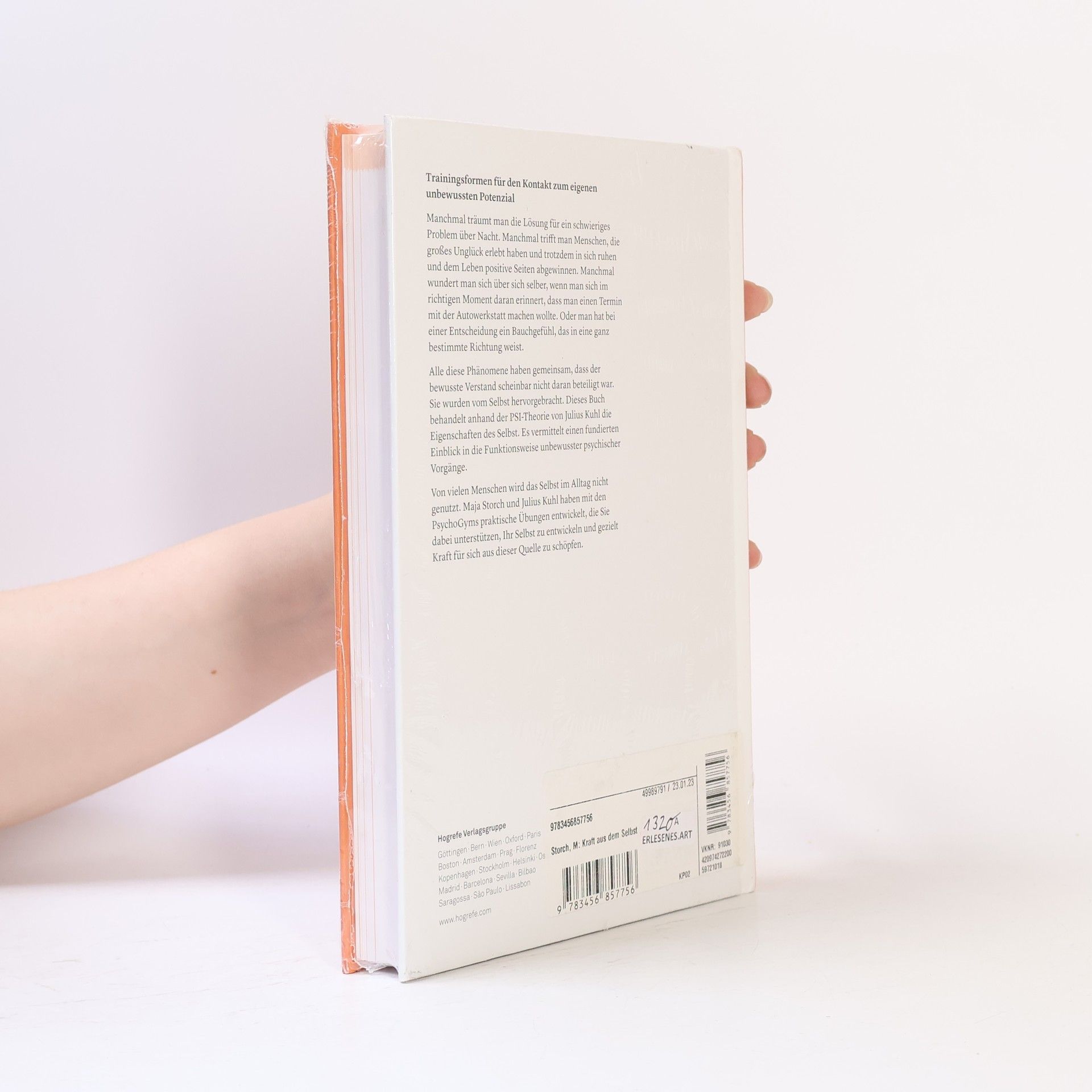 Maja Storch Die Kraft aus dem Selbst