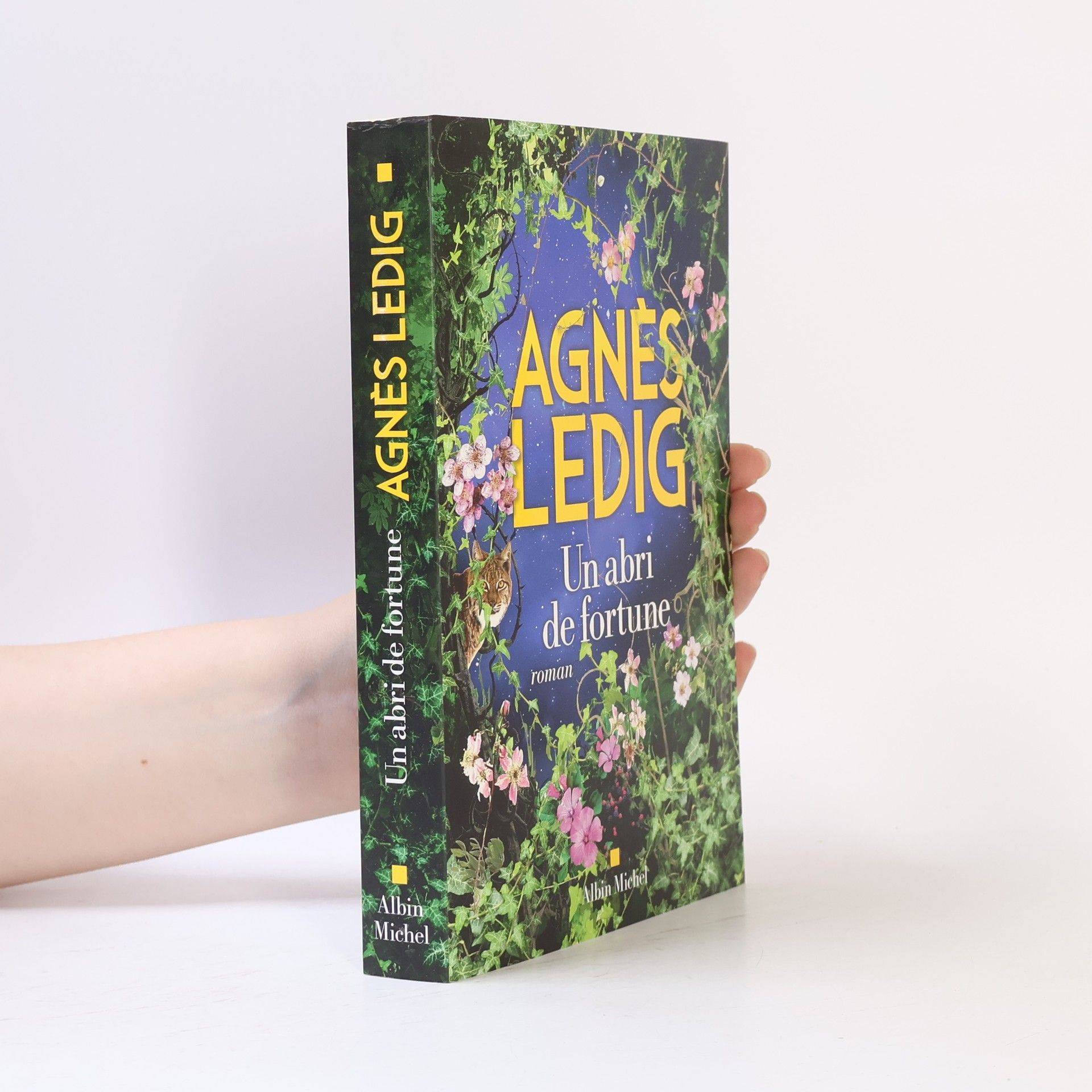 Agnés Ledig Un abri de fortune