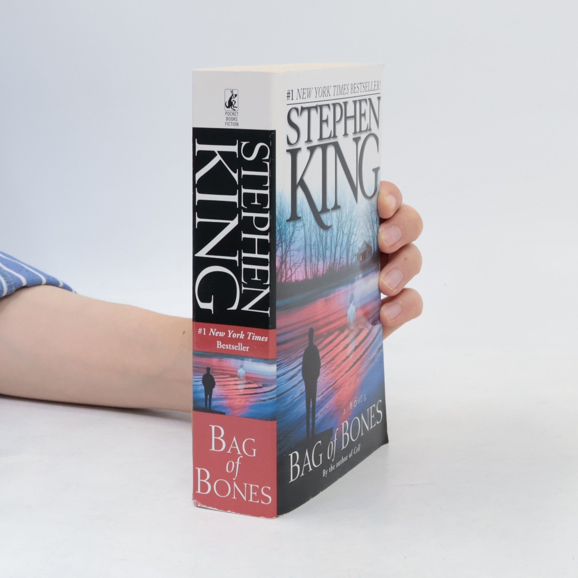 Stephen King Bag of Bones