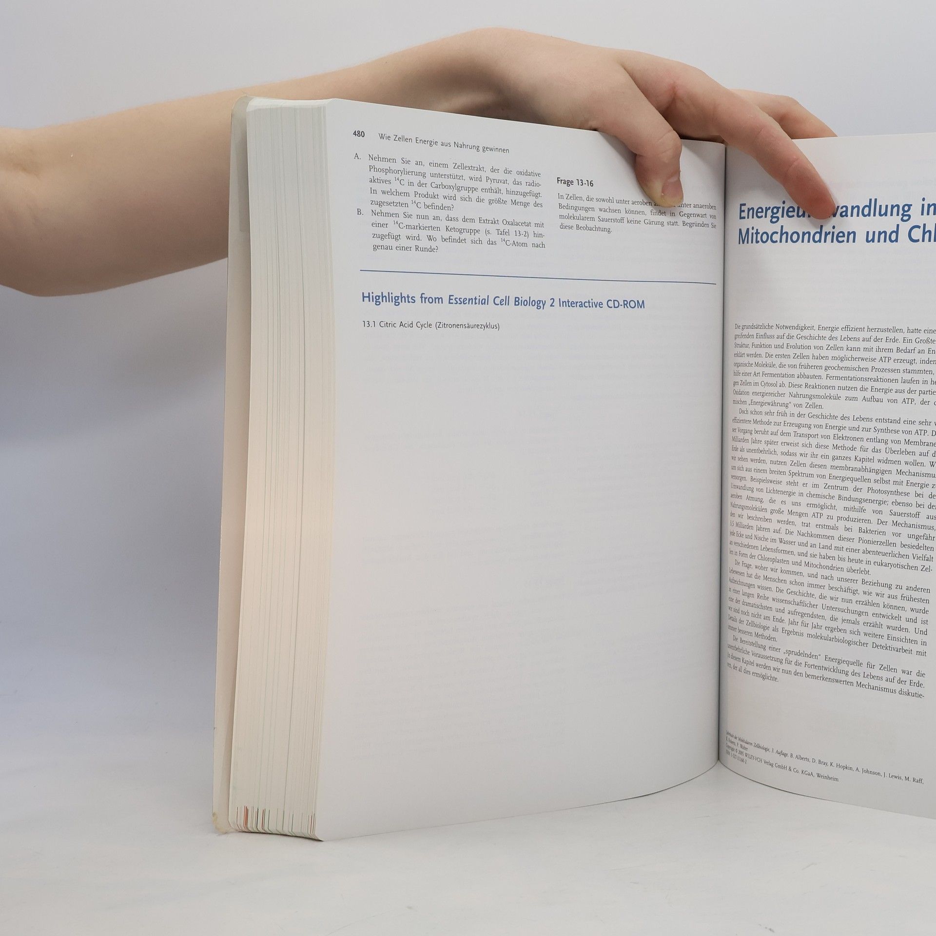 Bruce Alberts Lehrbuch der Molekularen Zellbiologie
