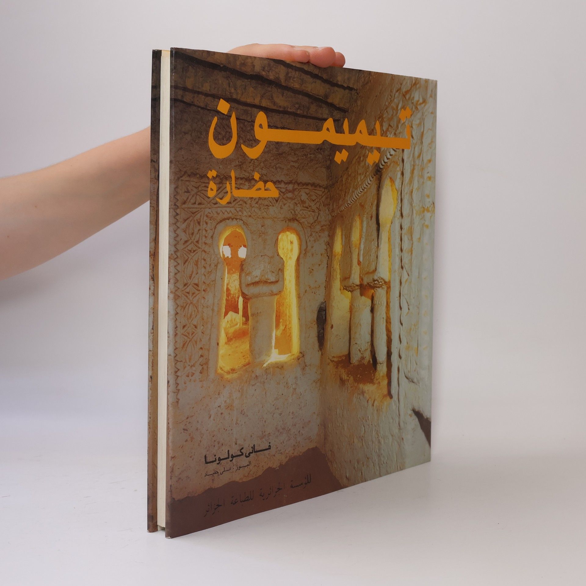 Fanny Colonna Timimoun. Une civilisation citadine