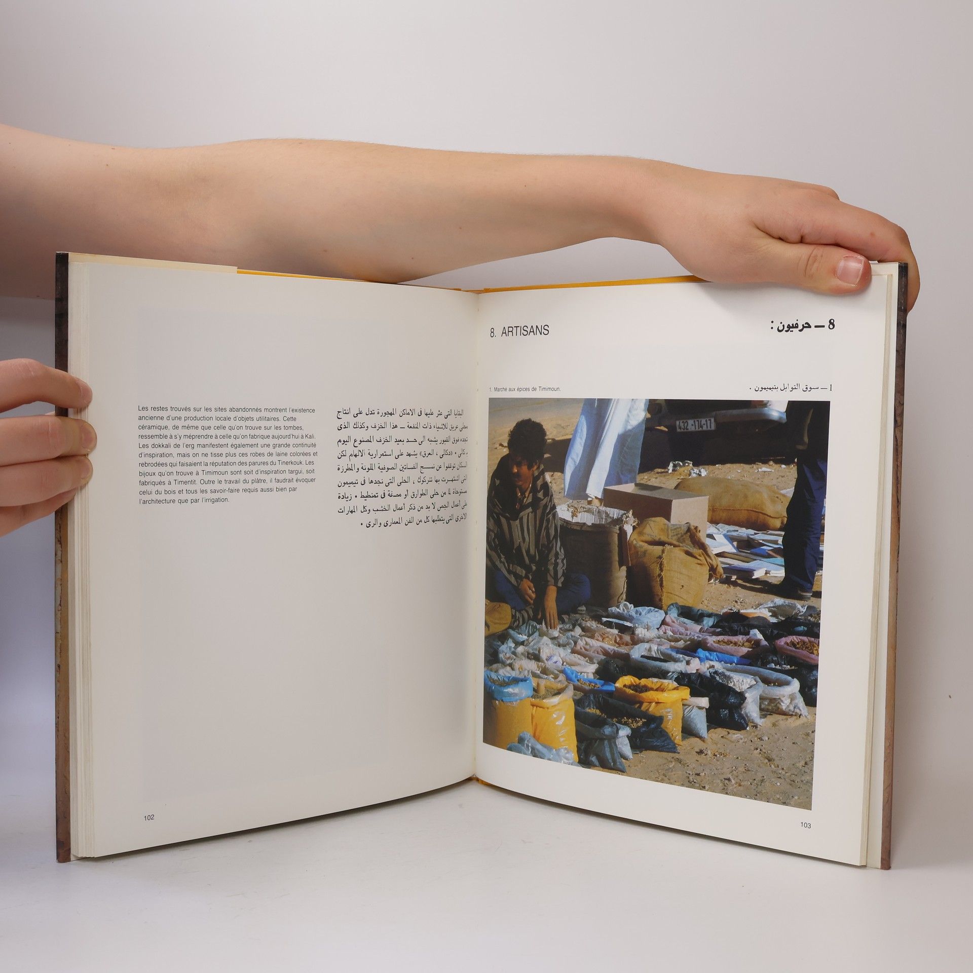 Fanny Colonna Timimoun. Une civilisation citadine