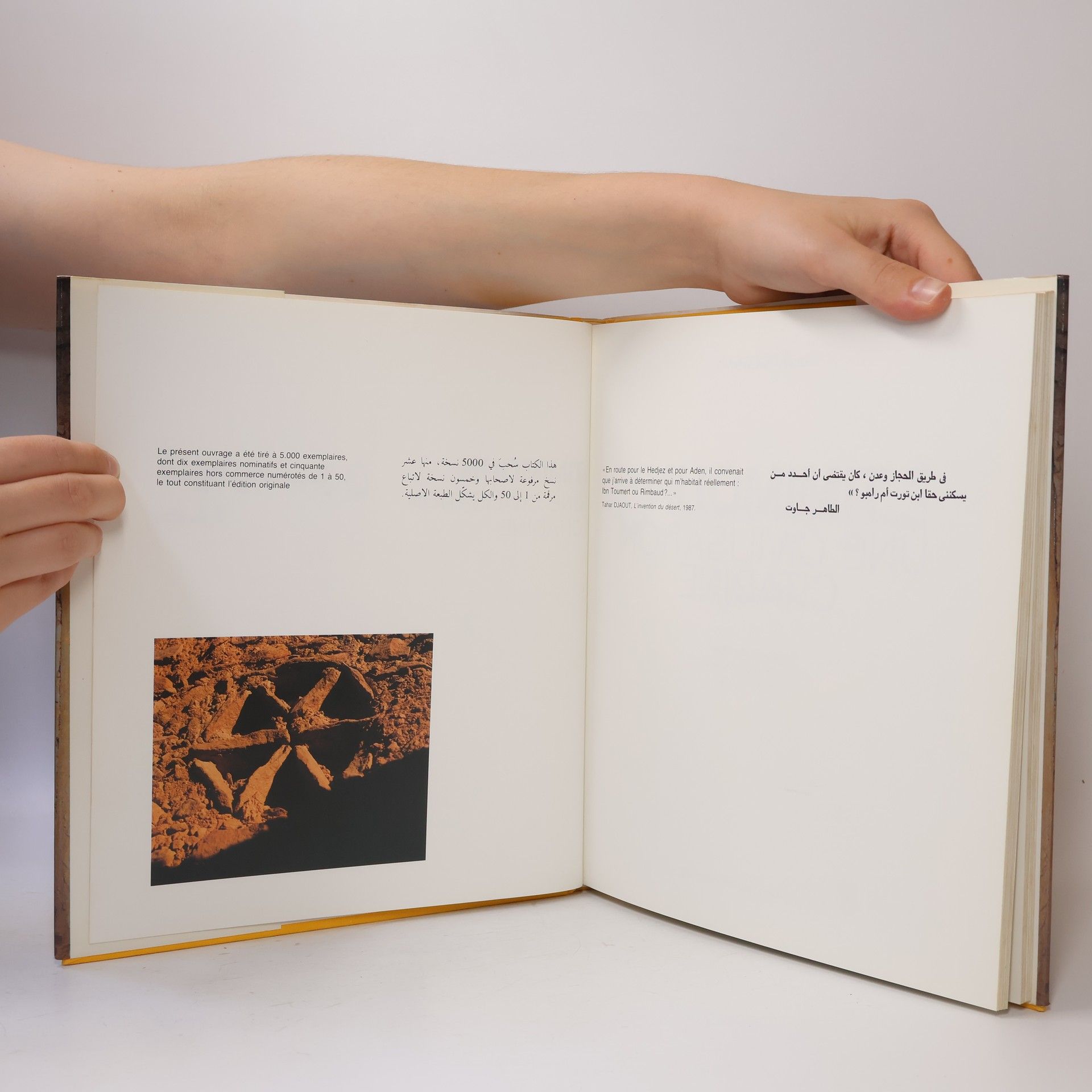 Fanny Colonna Timimoun. Une civilisation citadine