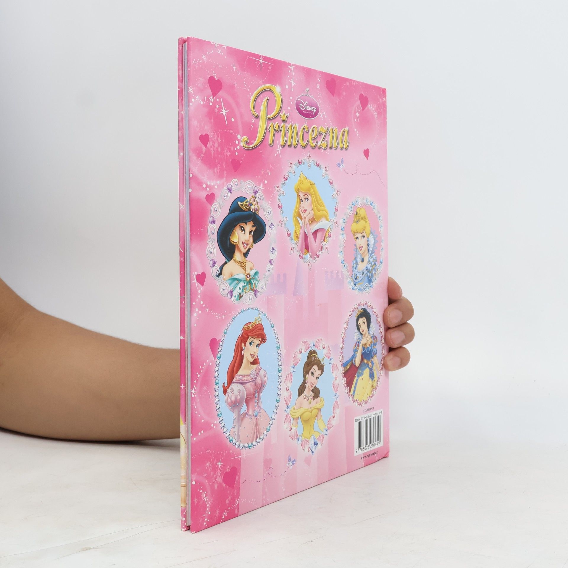 Walt Disney Princezna - Knížka na rok 2009