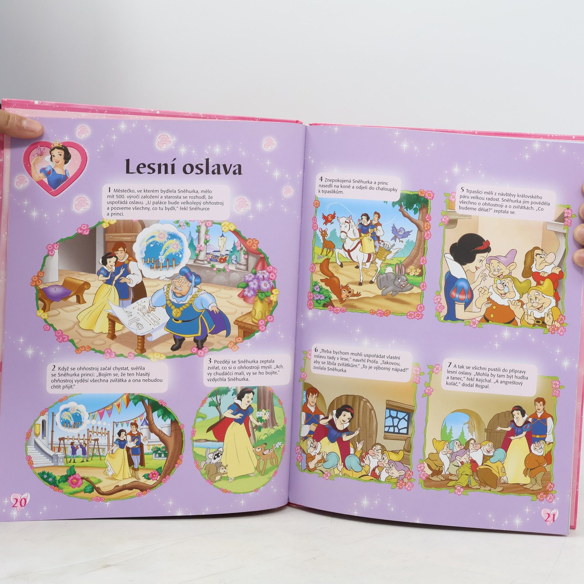 Walt Disney Princezna - Knížka na rok 2009