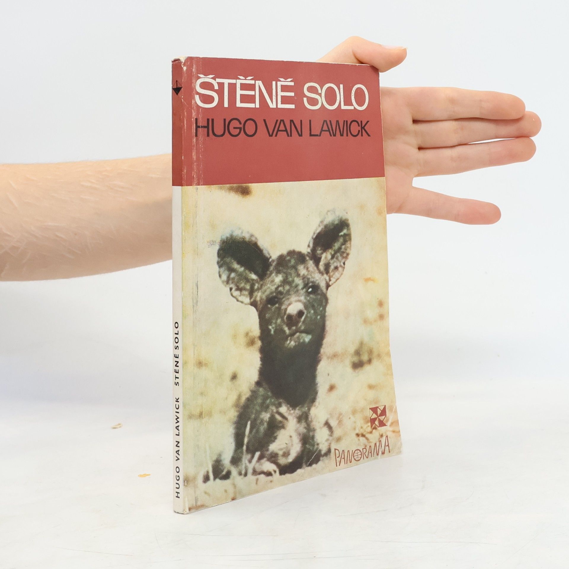 Hugo van Lawick Štěně Solo