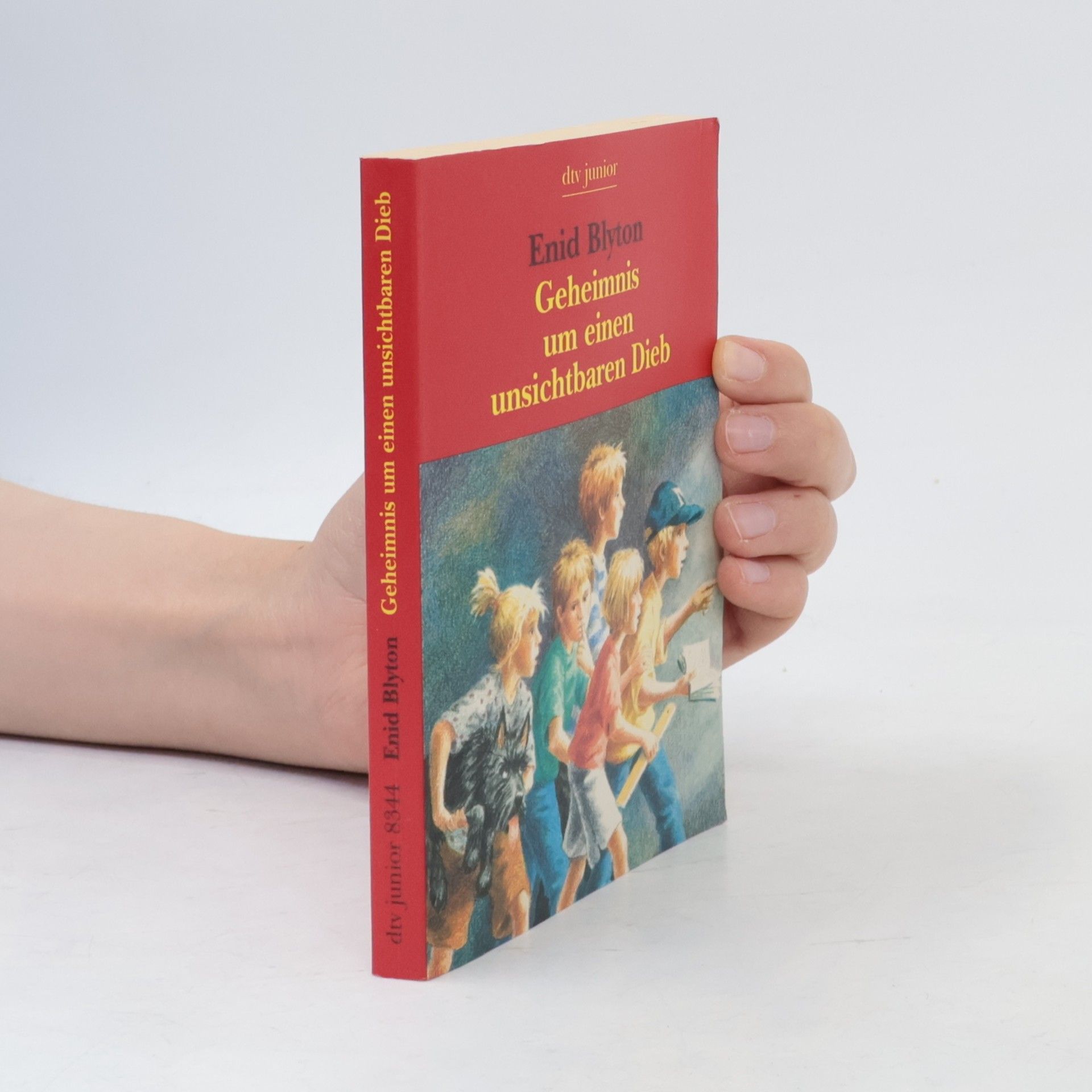 Enid Blyton Geheimnis um einen unsichtbaren Dieb