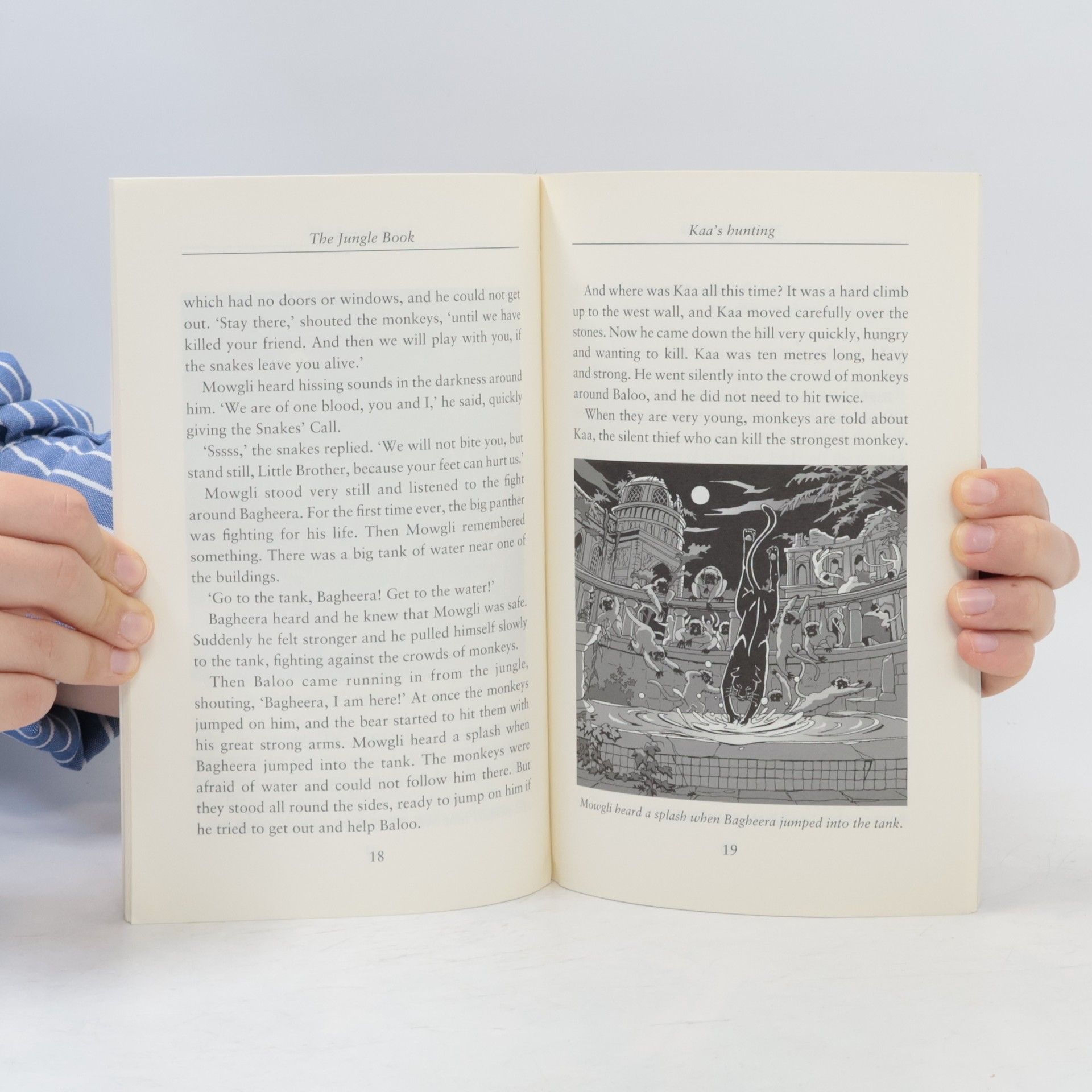 Rudyard Kipling The Jungle Book