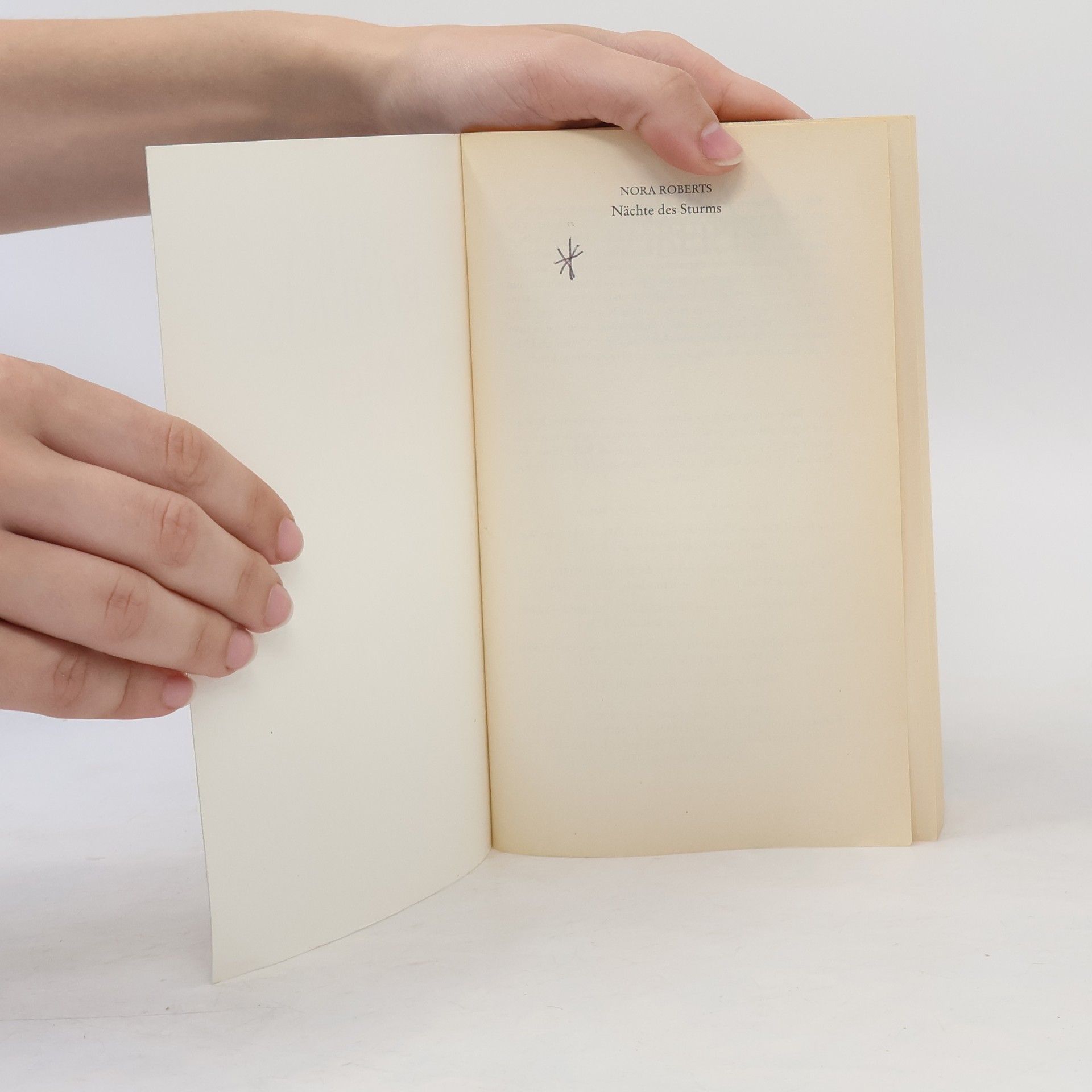 Nora Roberts Nächte des Sturms