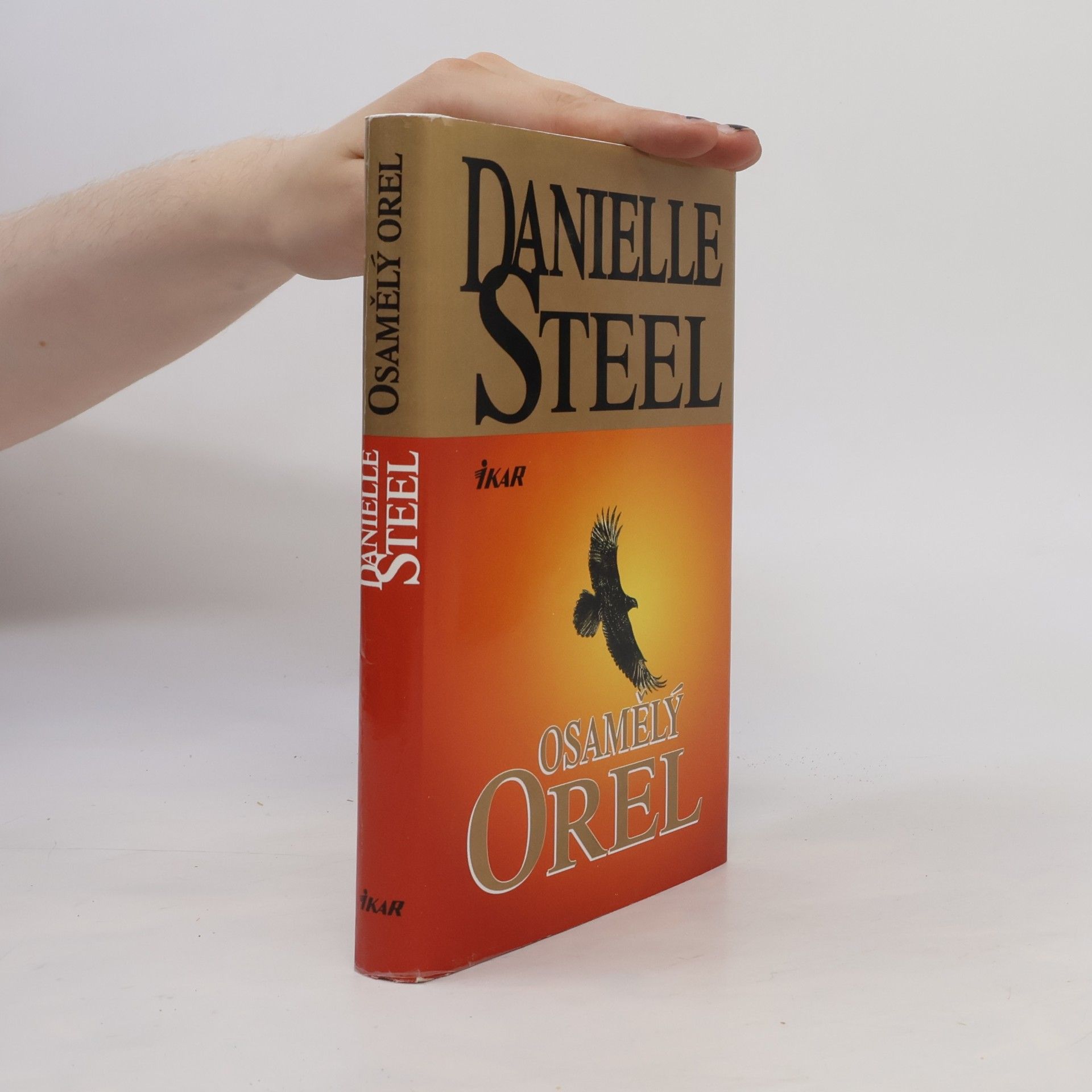 Danielle Steel Osamělý orel