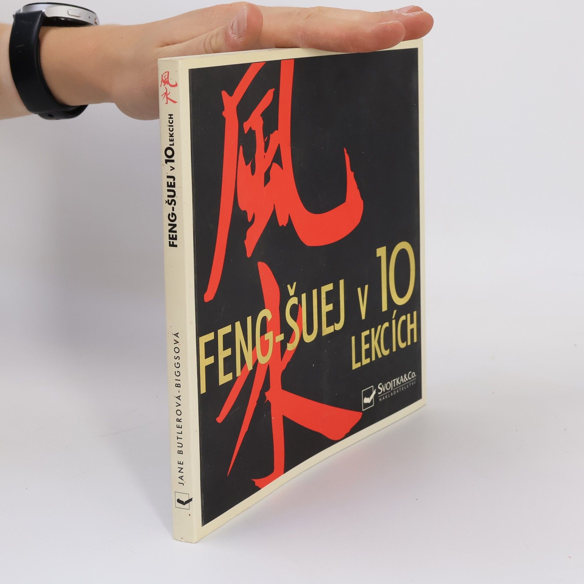 Jane Butler-Biggs Feng-šuej v 10 lekcích