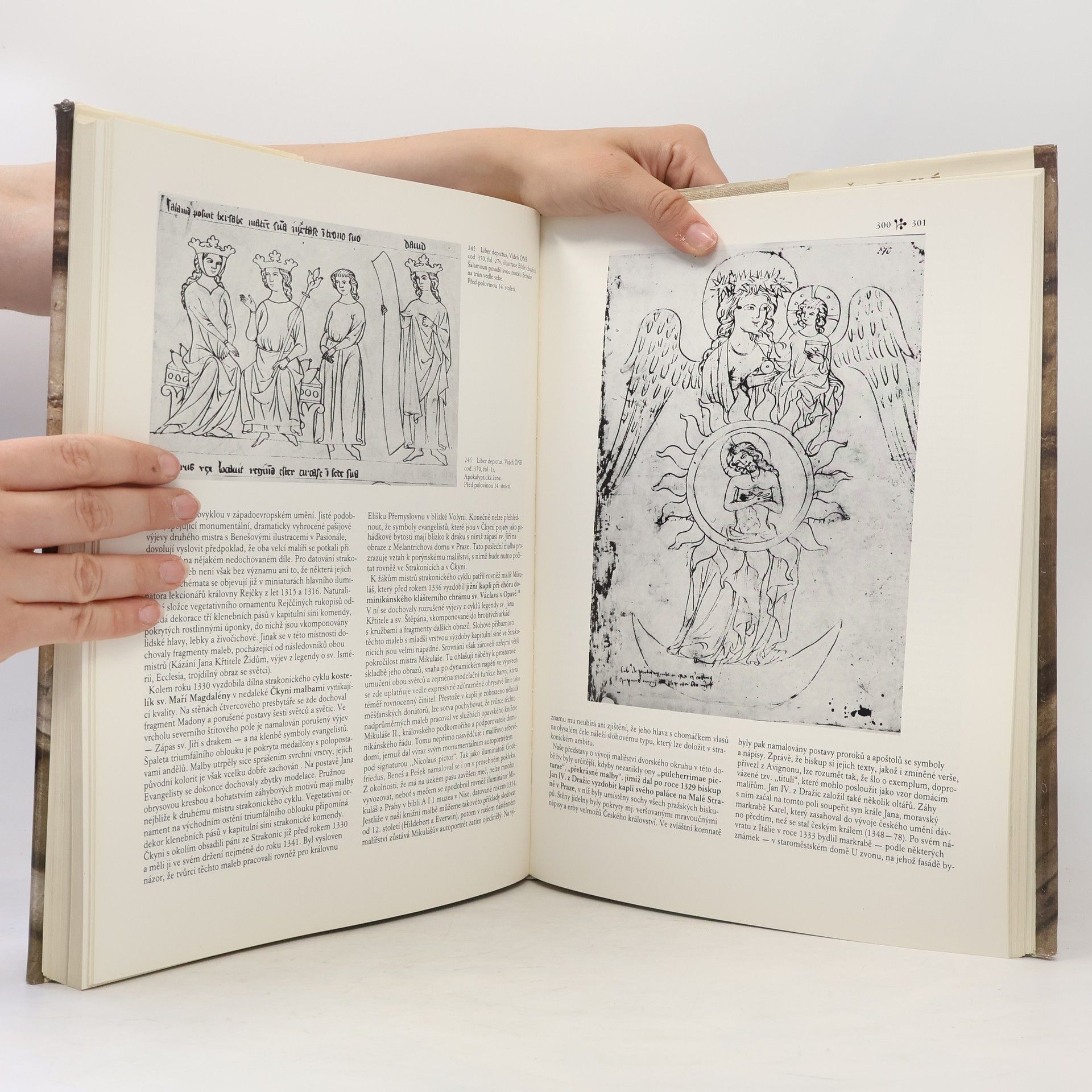 Various authors Dějiny českého výtvarného umění I/1