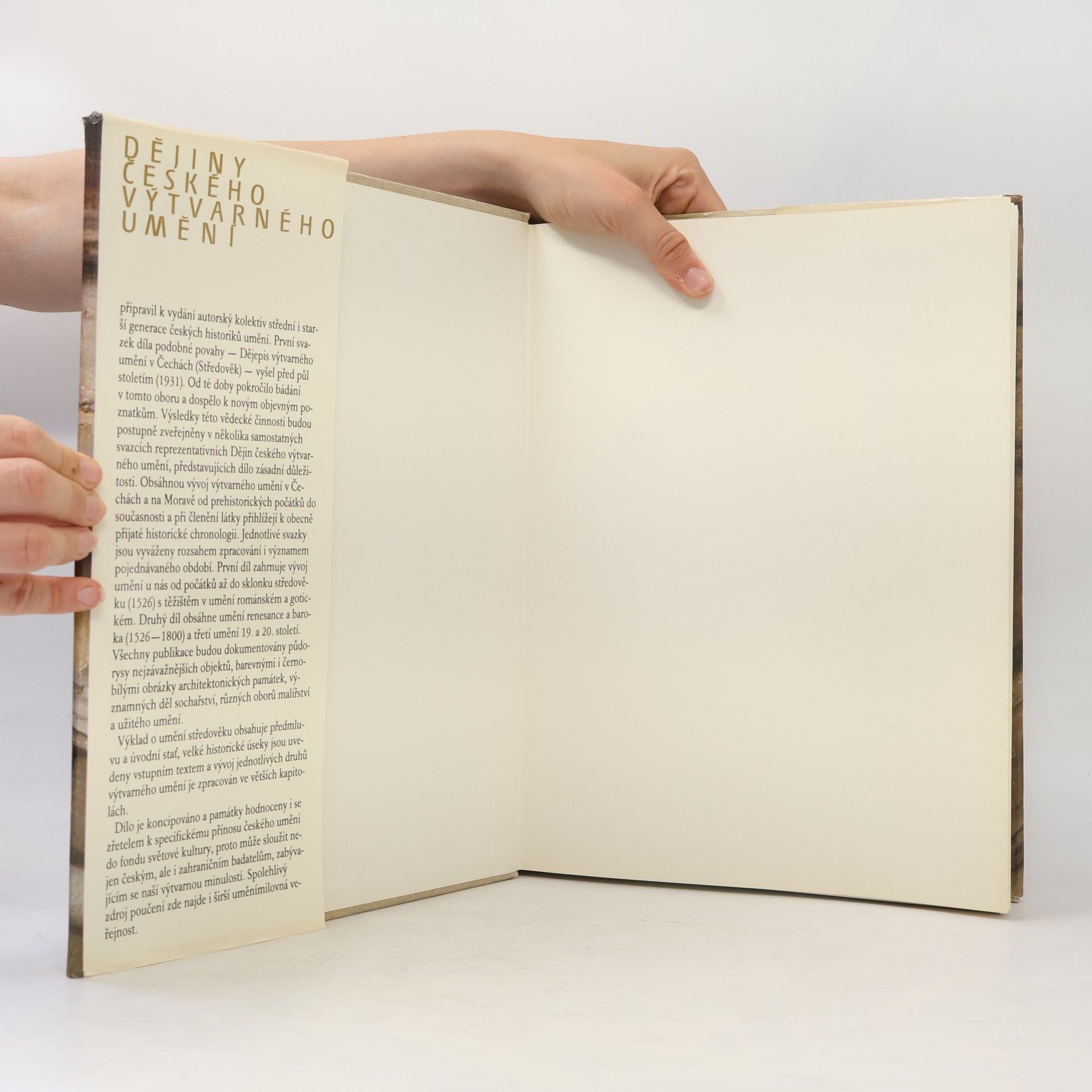 Various authors Dějiny českého výtvarného umění I/1