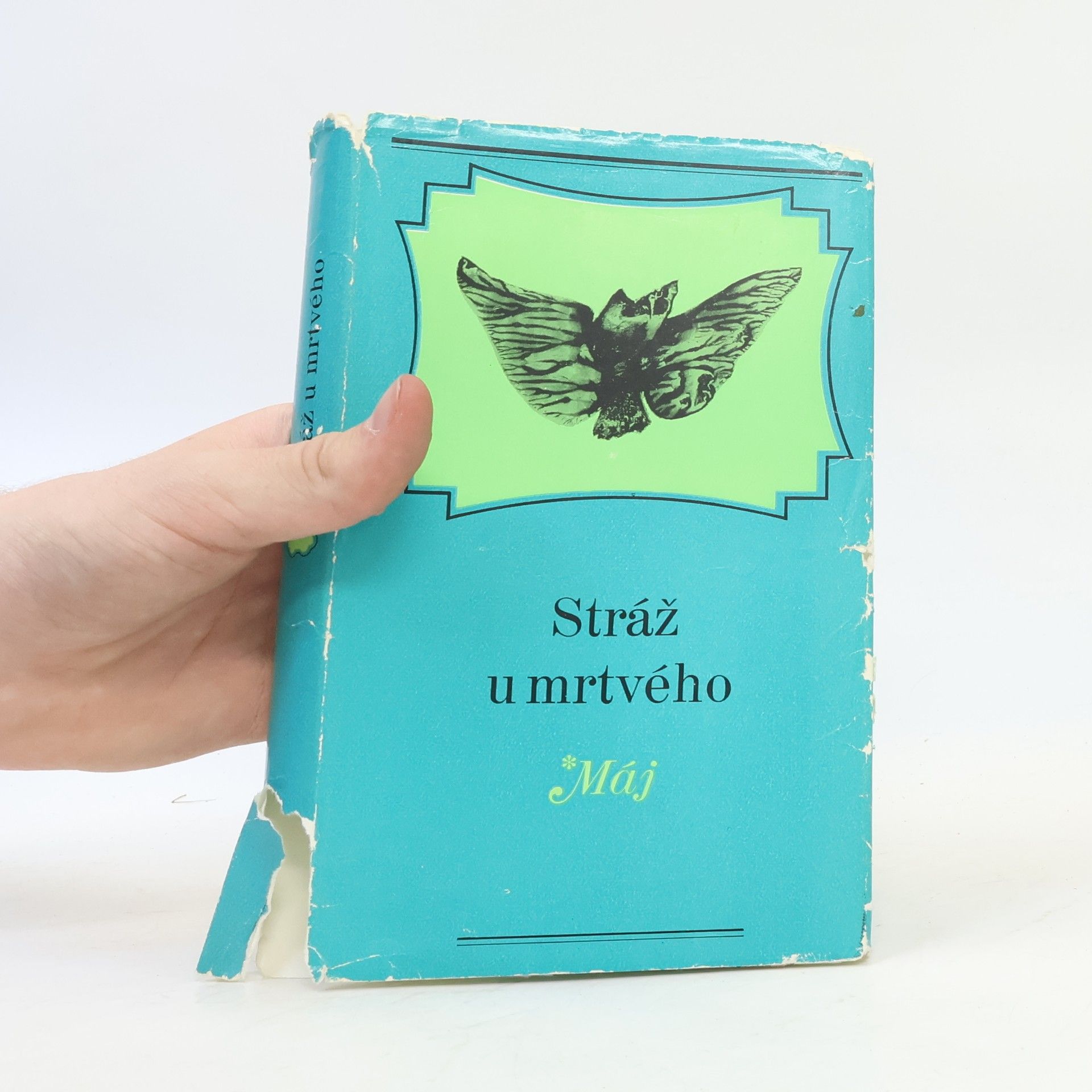 Kolektiv autorů Stráž u mrtvého