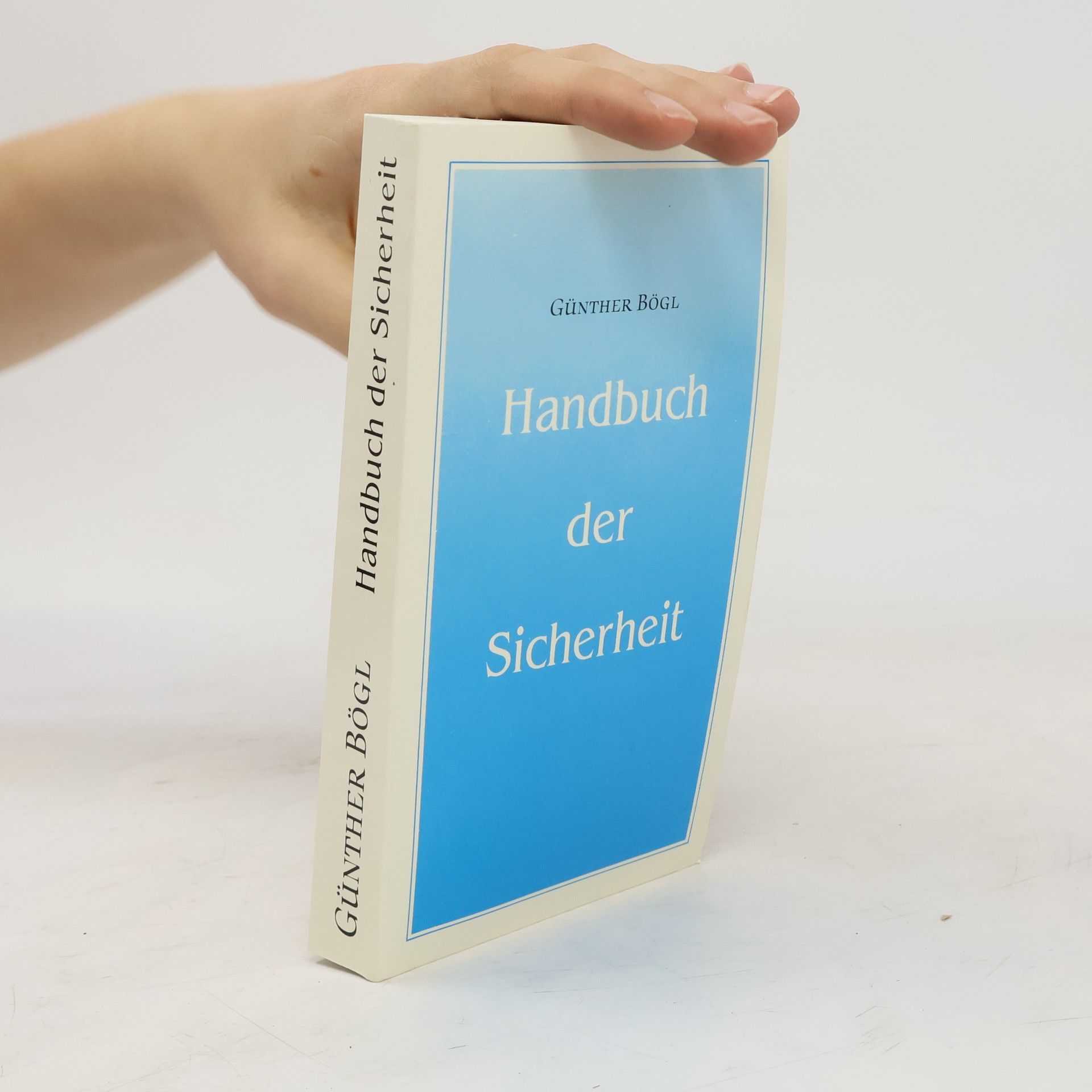 Günther Bögl Handbuch der Sicherheit