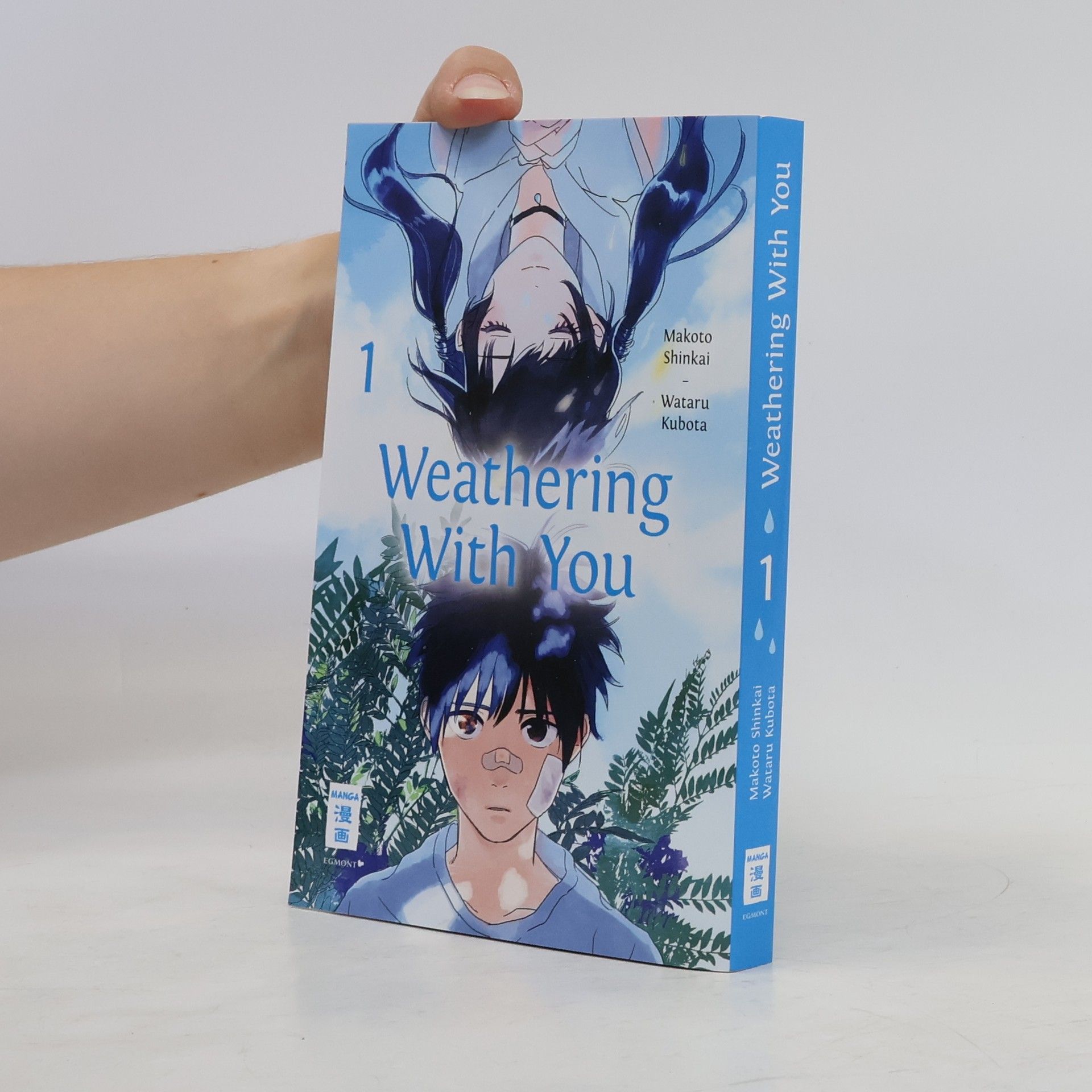 Makoto Shinkai Weathering With You