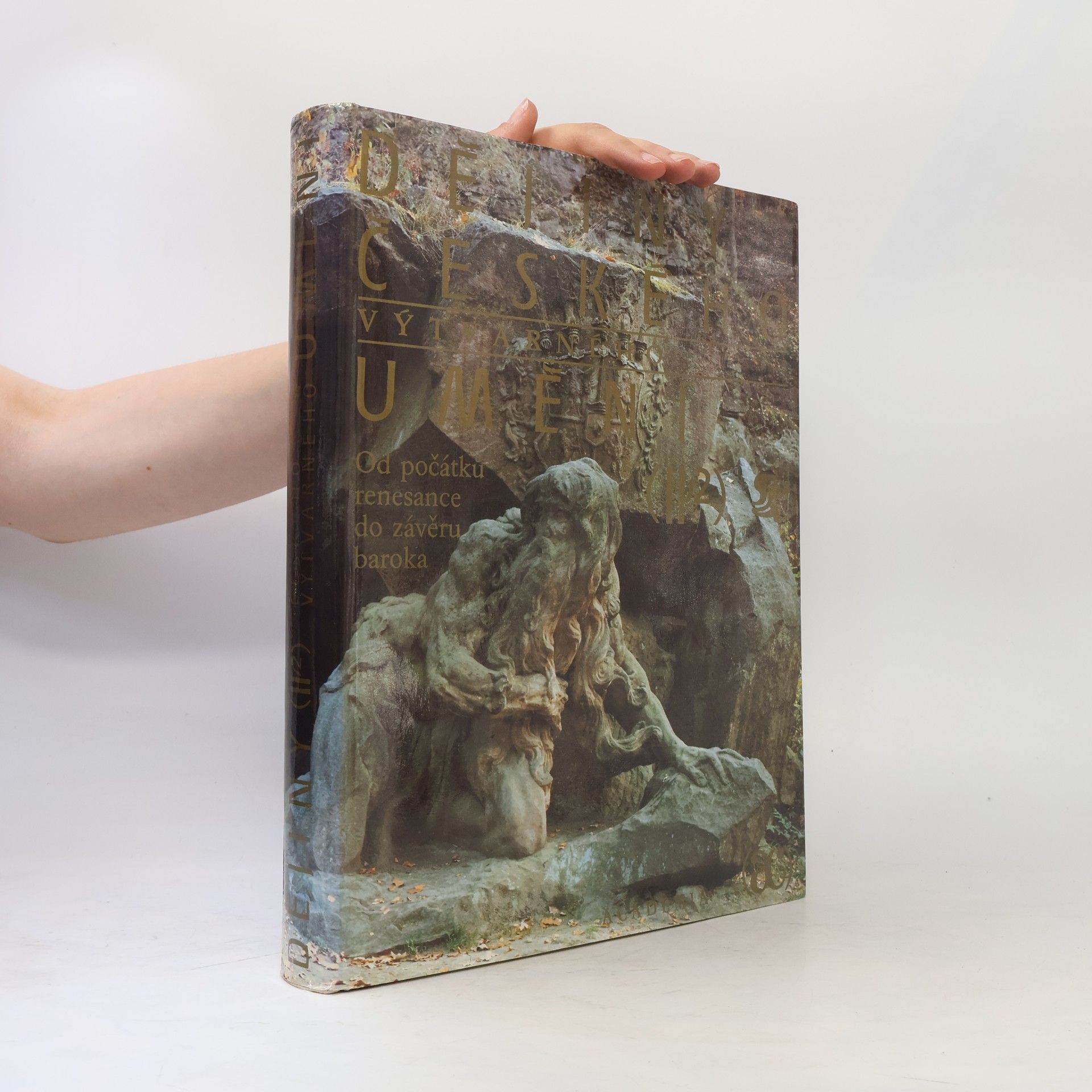 Collectif d'auteurs Dějiny českého výtvarného umění II/2