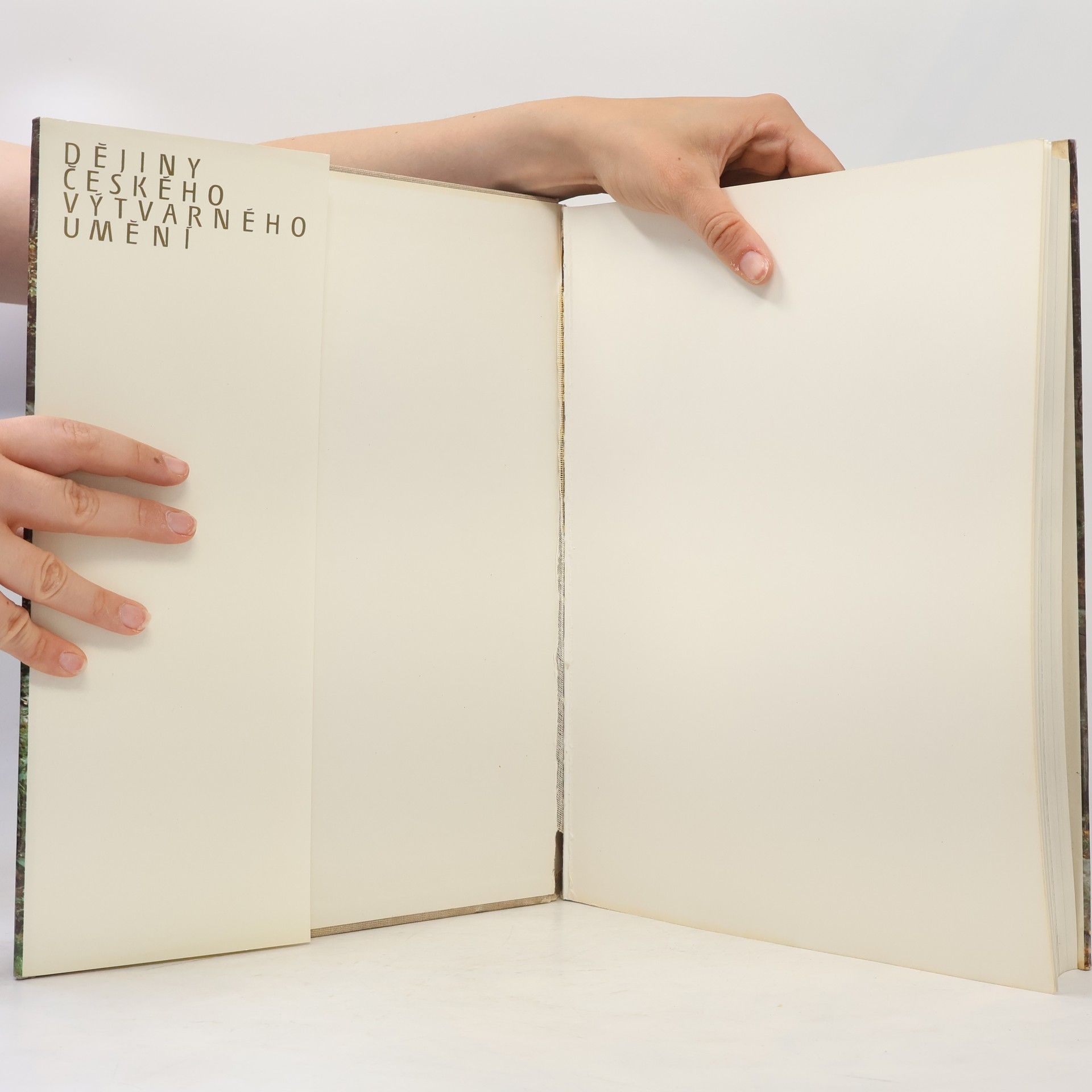 Collectif d'auteurs Dějiny českého výtvarného umění II/2