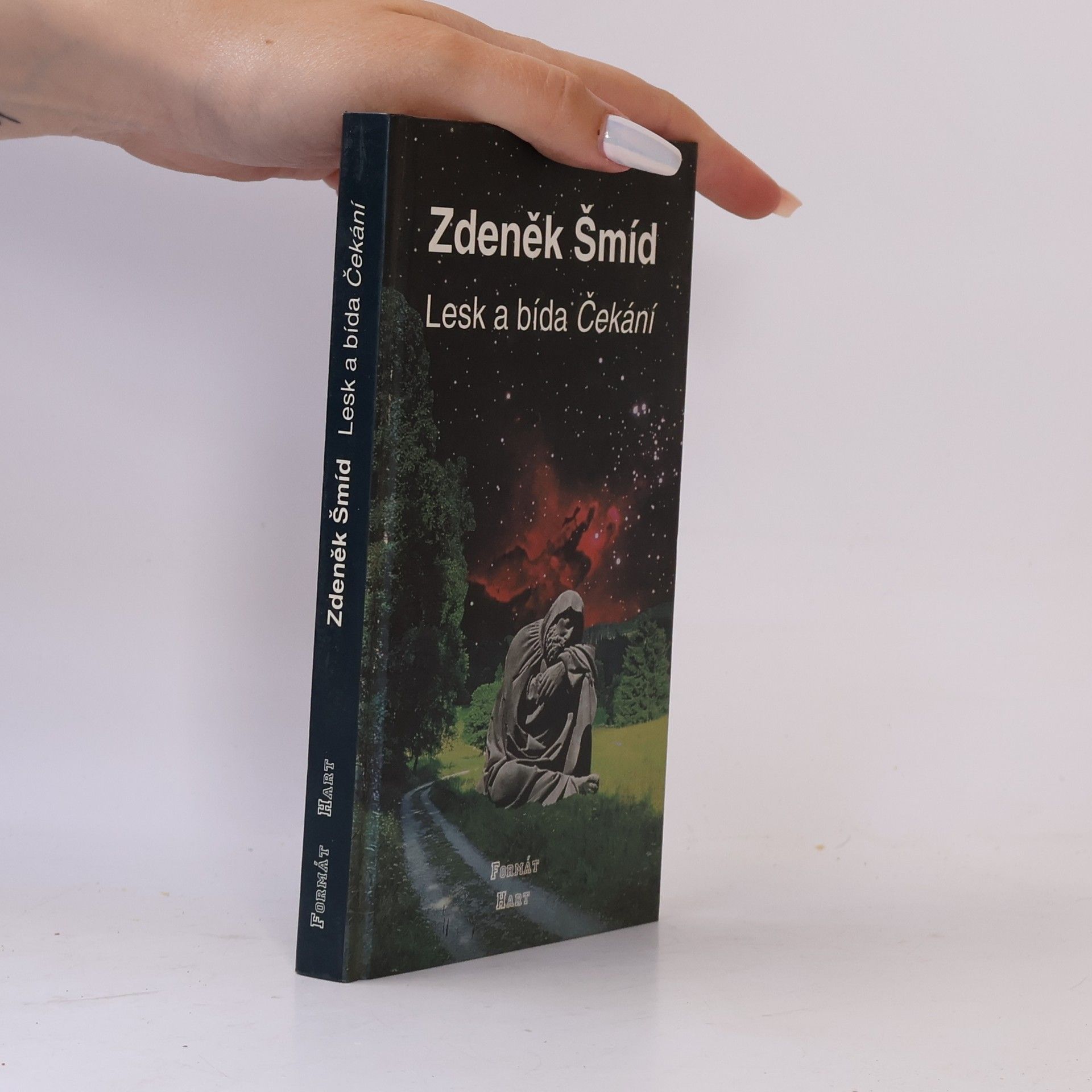 Zdeněk Šmíd Lesk a bída Čekání