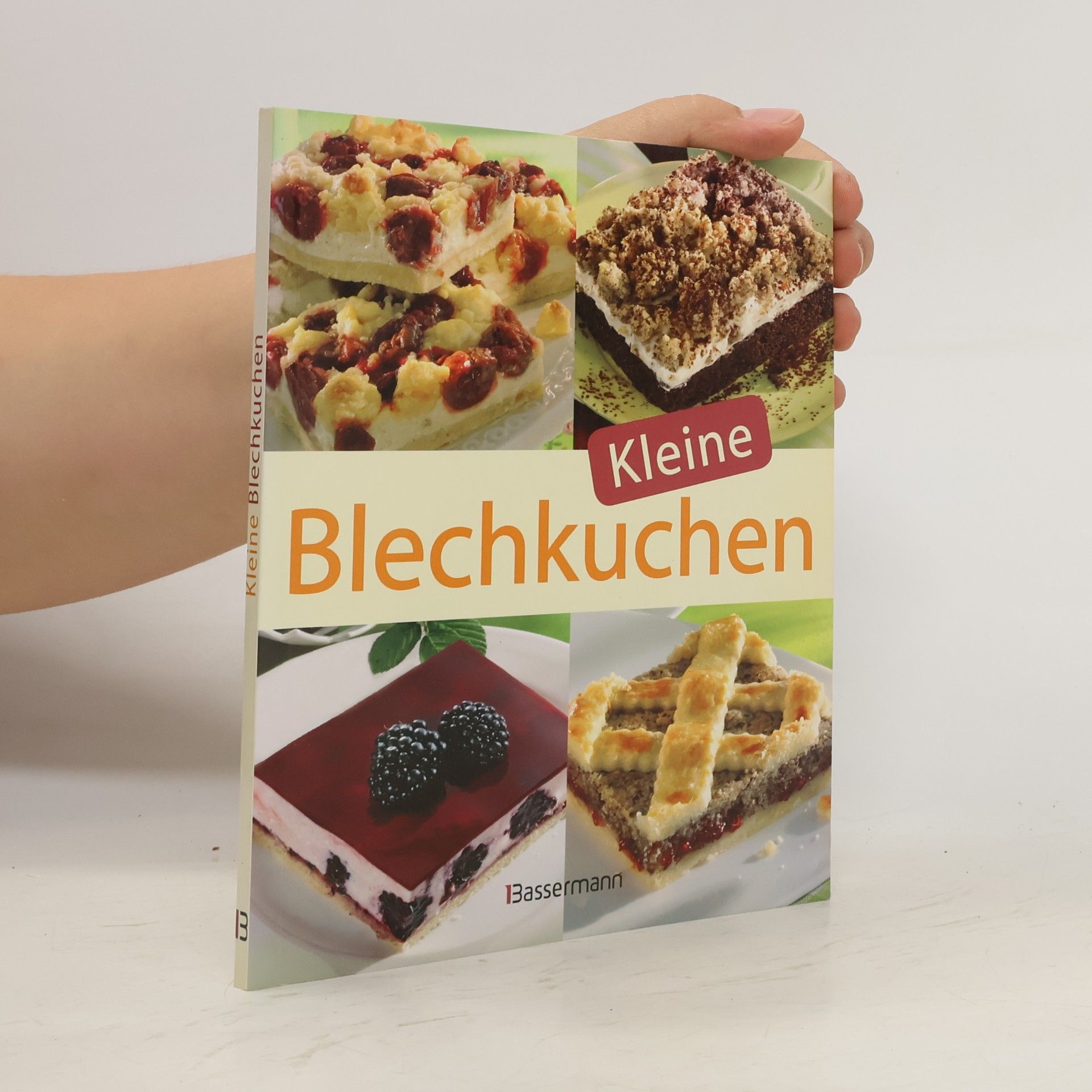 Autorenkollektiv Kleine Blechkuchen