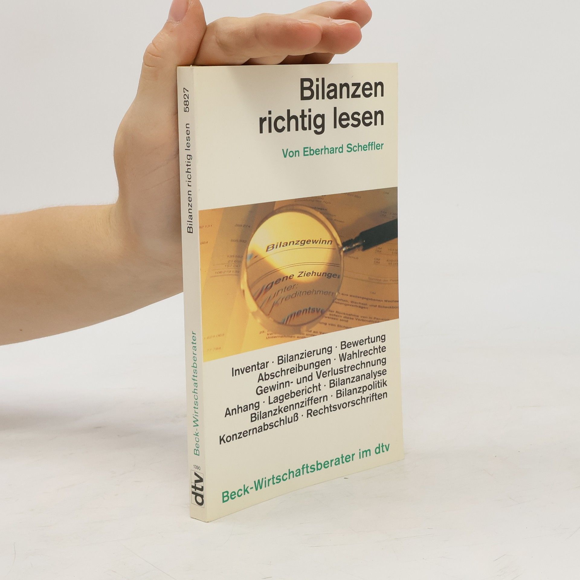 Eberhard Scheffler Bilanzen richtig lesen