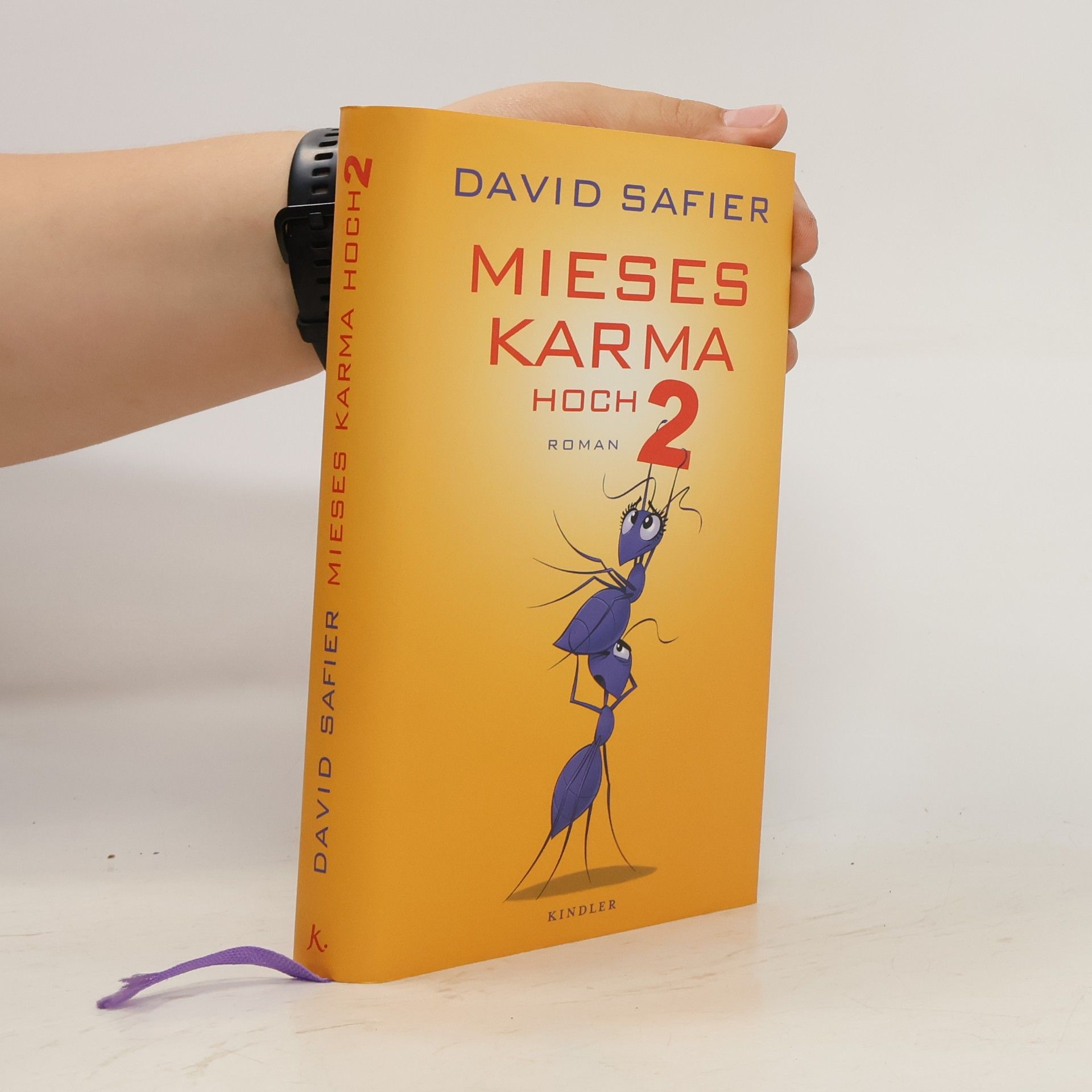 David Safier Mieses Karma hoch 2