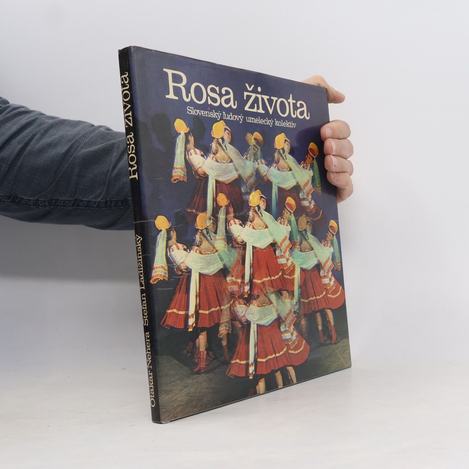 Štefan Ladžinský Rosa života : Slovenský ludový umelecký kolektív