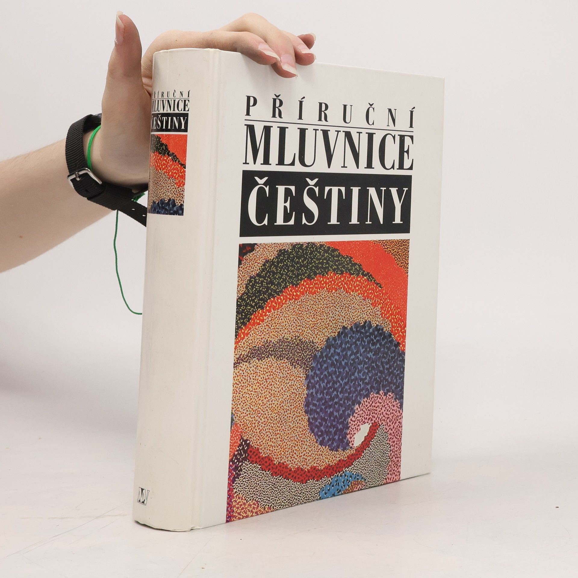 Petr Karlík Příruční mluvnice češtiny