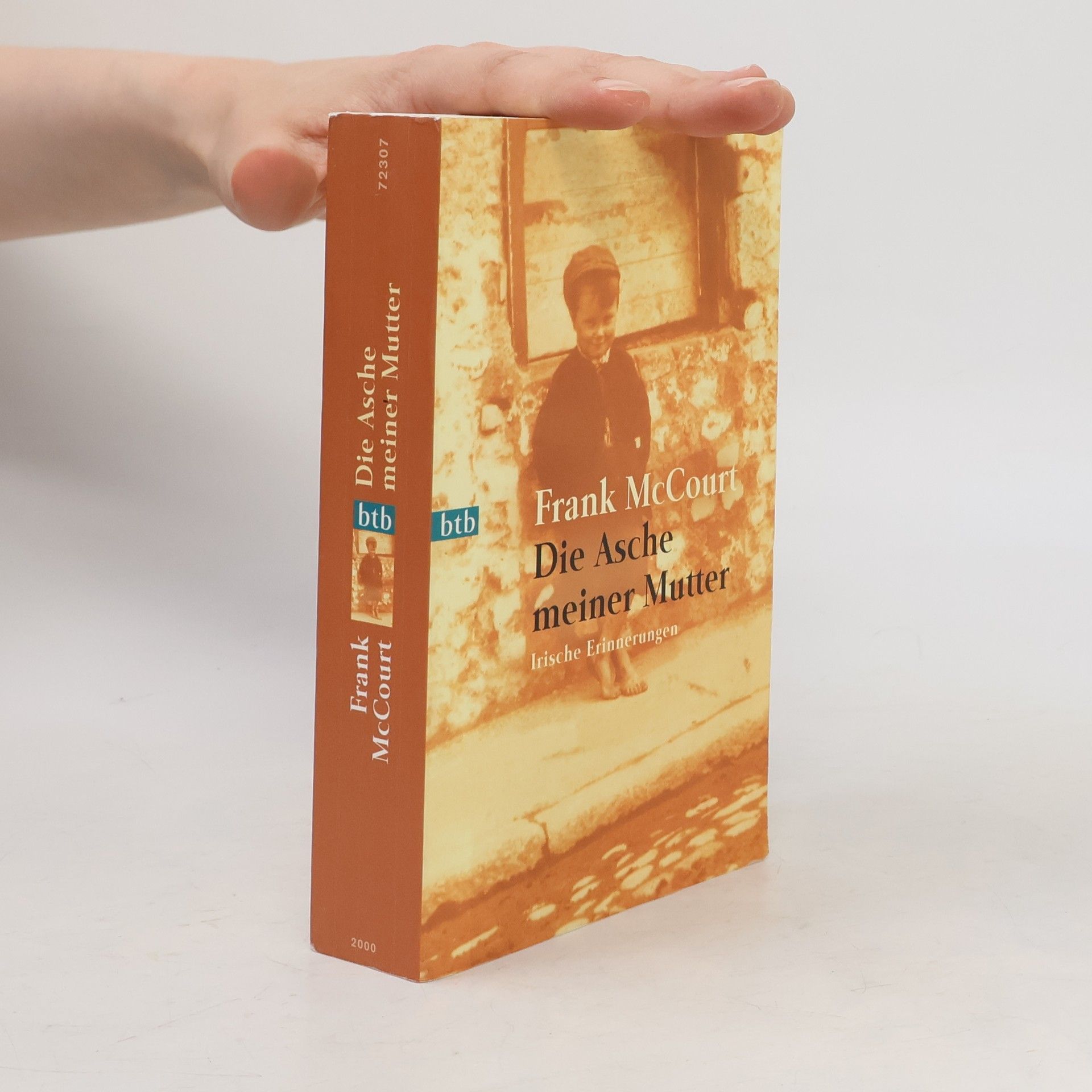 Frank McCourt Die Asche meiner Mutter