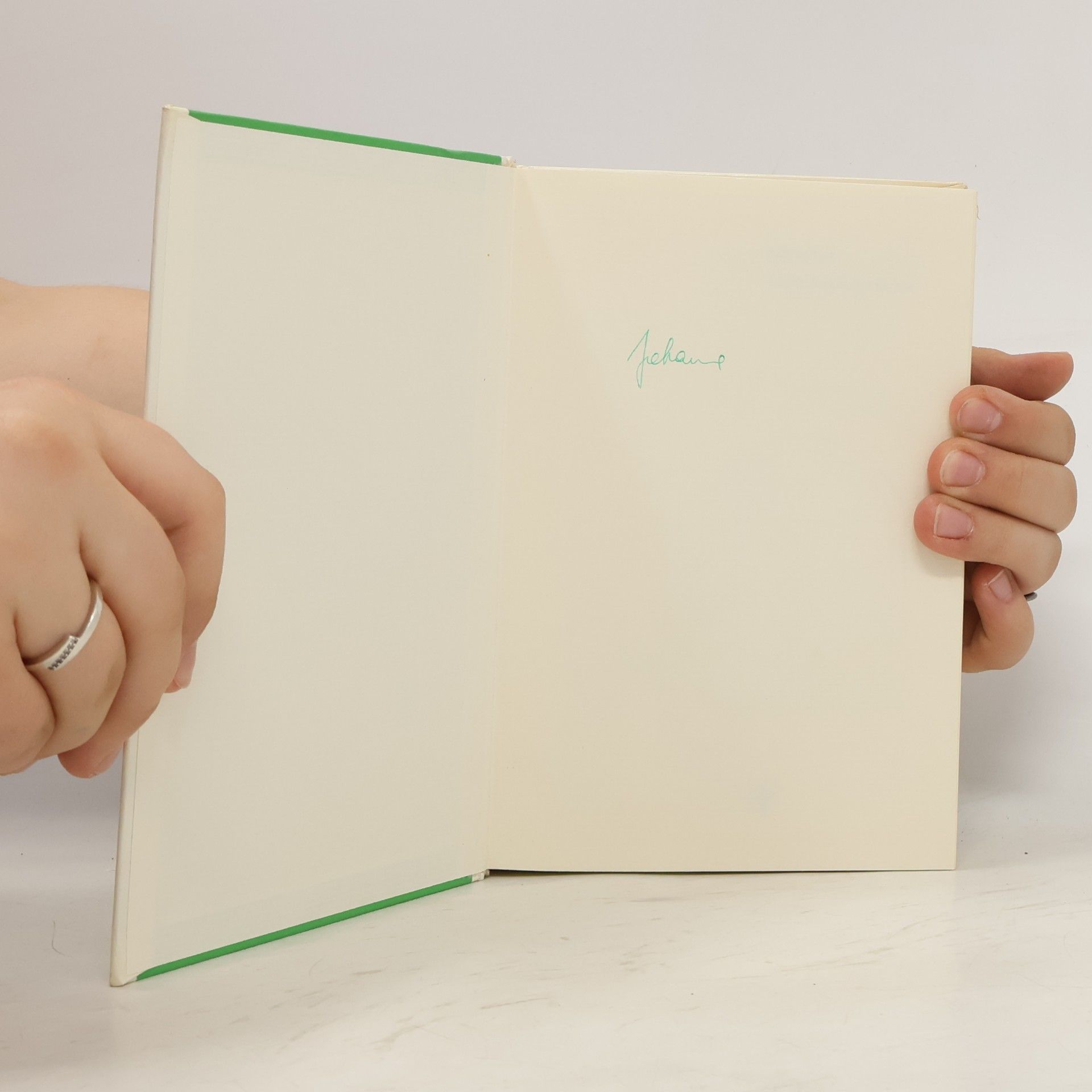 Dagmar Domina Tag für Tag und Jahr für Jahr. Grosses Werkbuch für Kindergarten und Schule