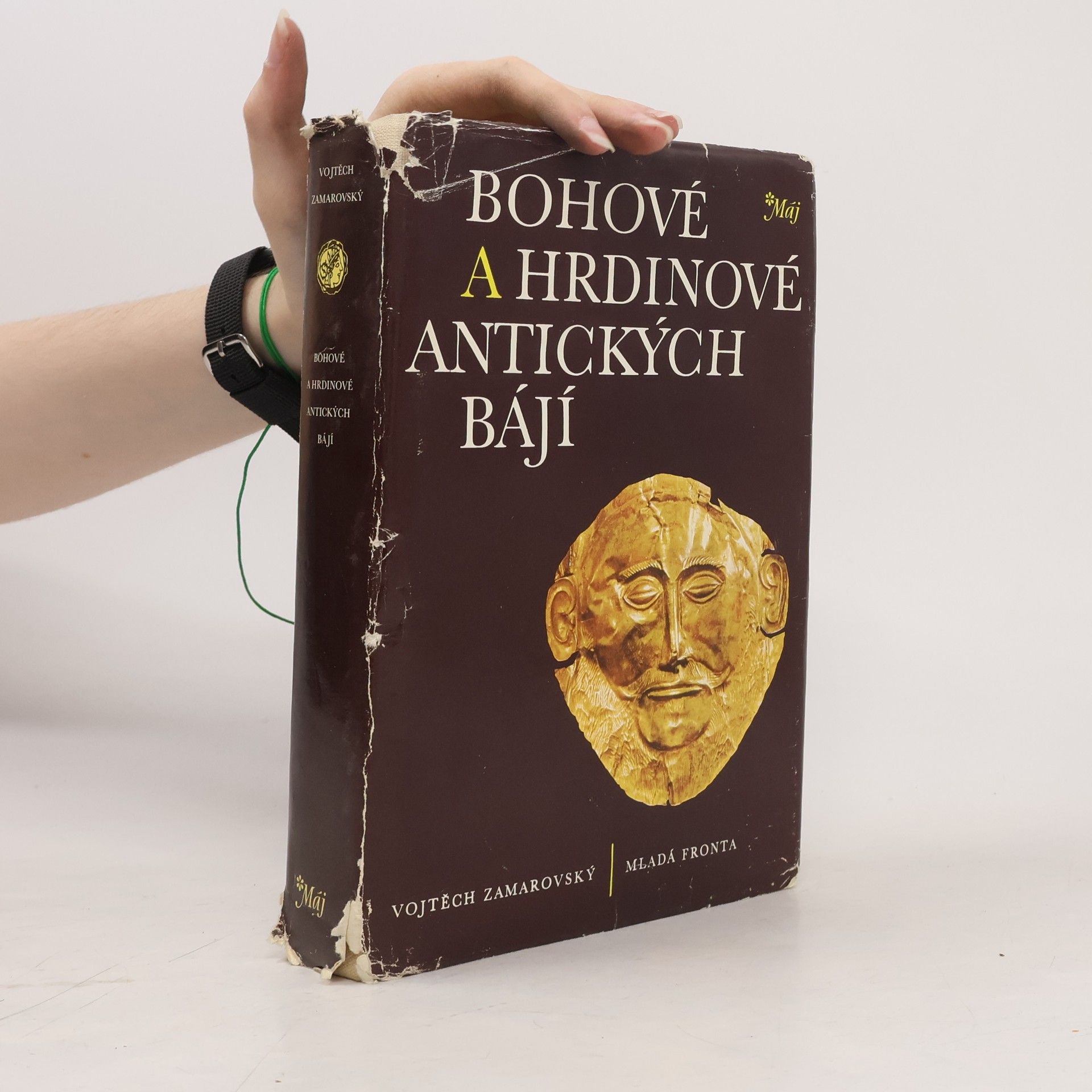Bohové a hrdinové antických bájí