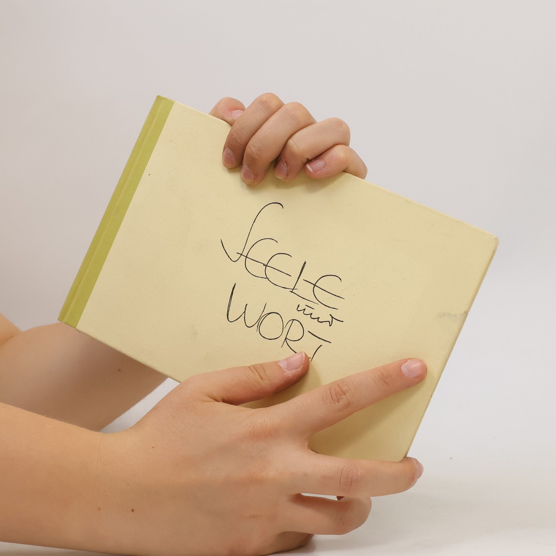 Autorenkollektiv Seele und Wort