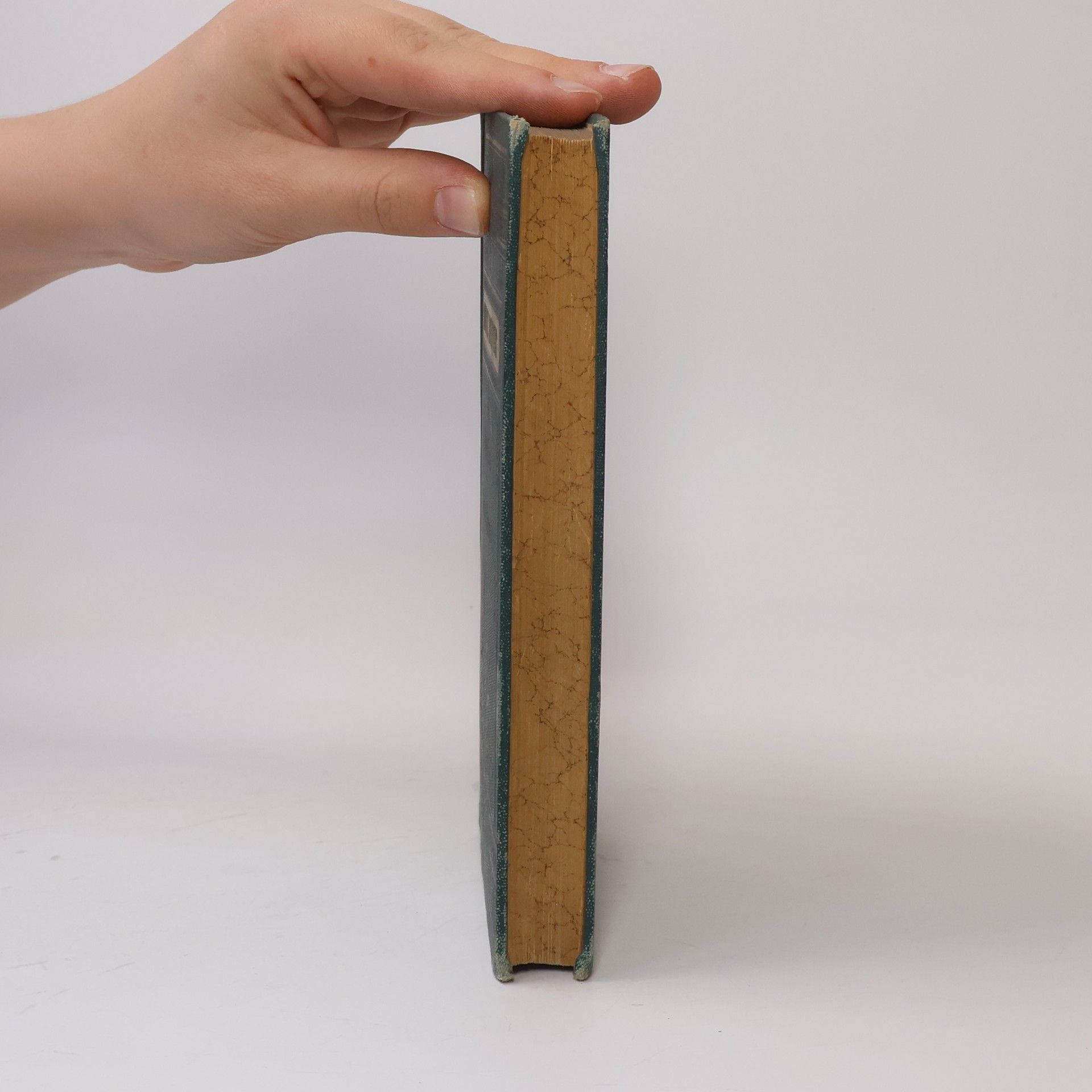 Fritz Reuter Hanne Nüte un de lütte Pudel