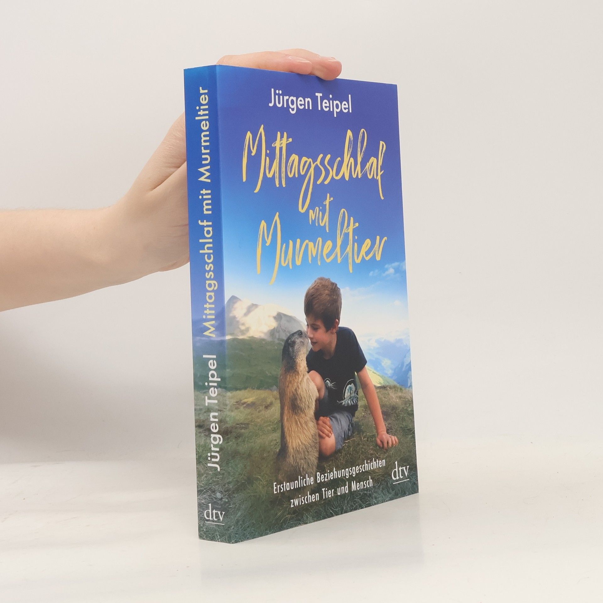 Mittagsschlaf mit Murmeltier