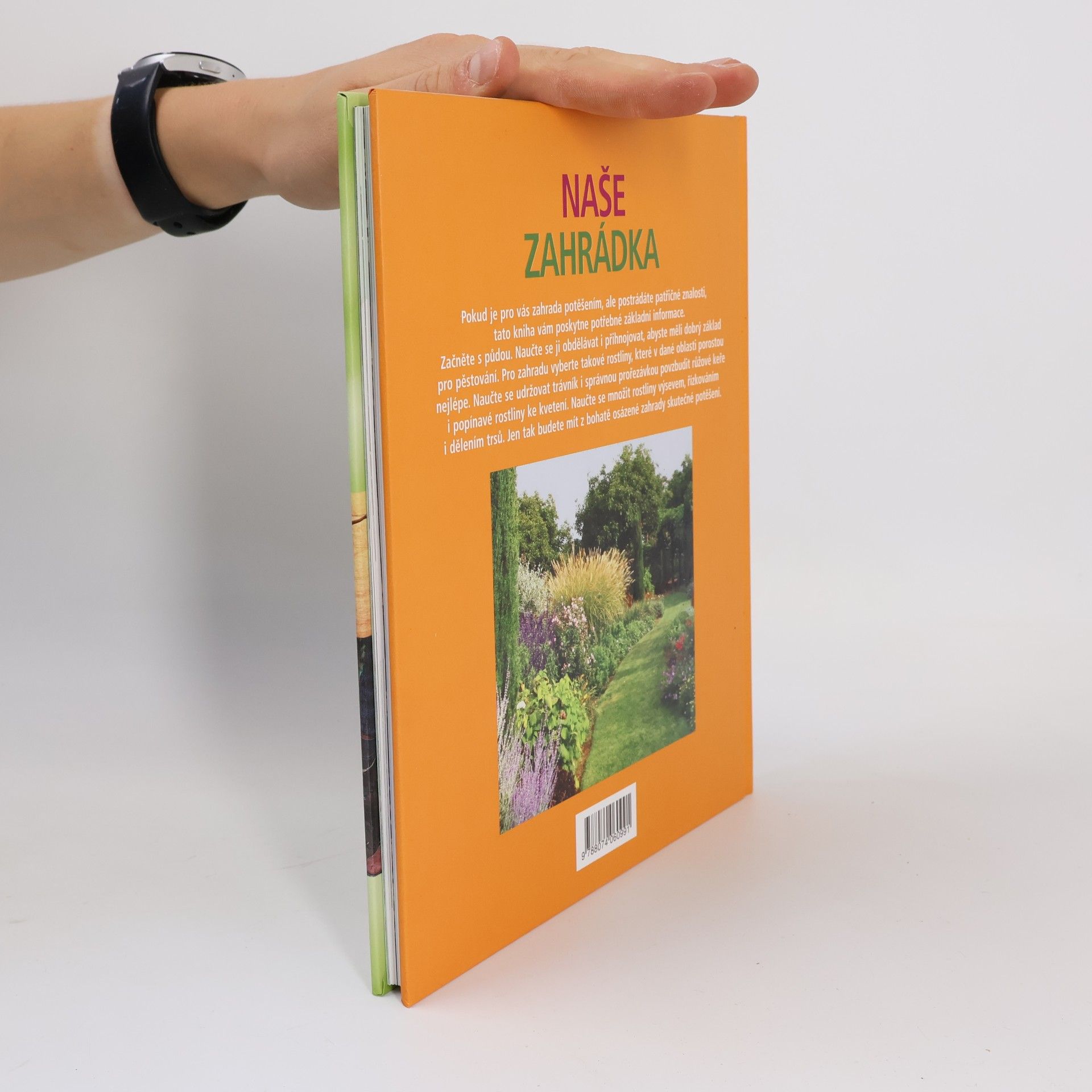 Daphne Ledward Naše zahrádka: Všechno, co potřebujete vědět pro úspěšné zahradničení