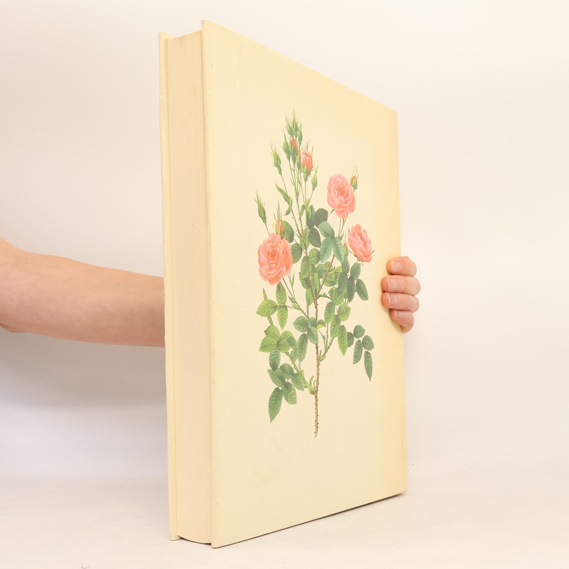 Pierre Joseph Redouté Les plus belles fleurs et branches de fruits