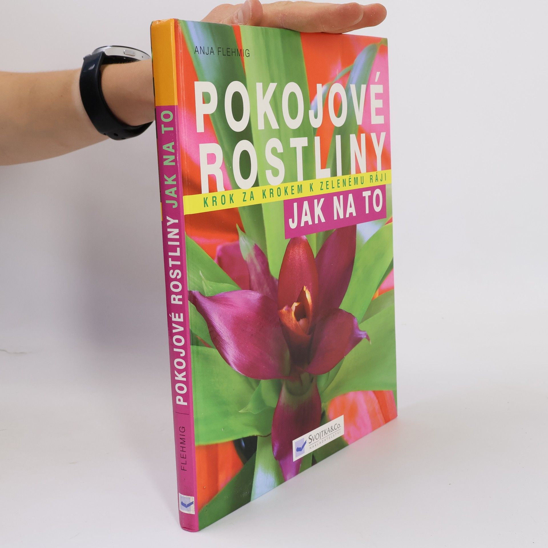 Anja Flehmig Pokojové rostliny: Krok za krokem k zelenému ráji