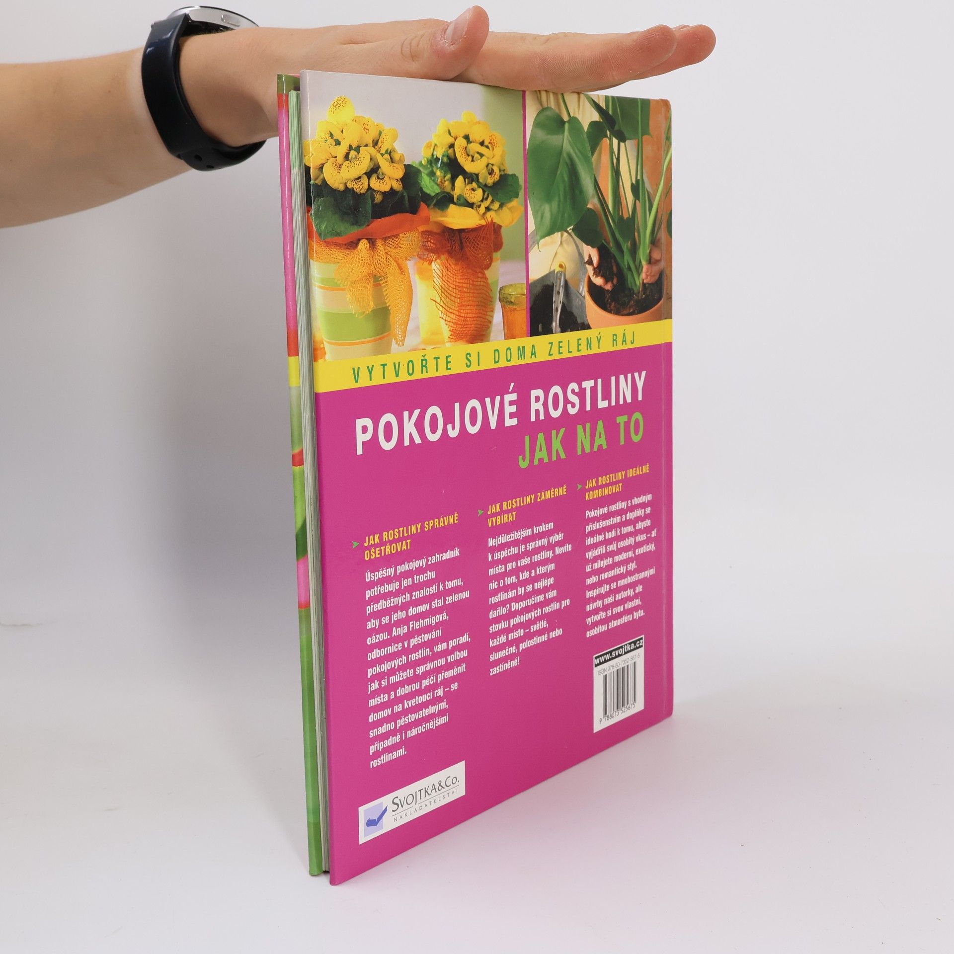 Anja Flehmig Pokojové rostliny: Krok za krokem k zelenému ráji