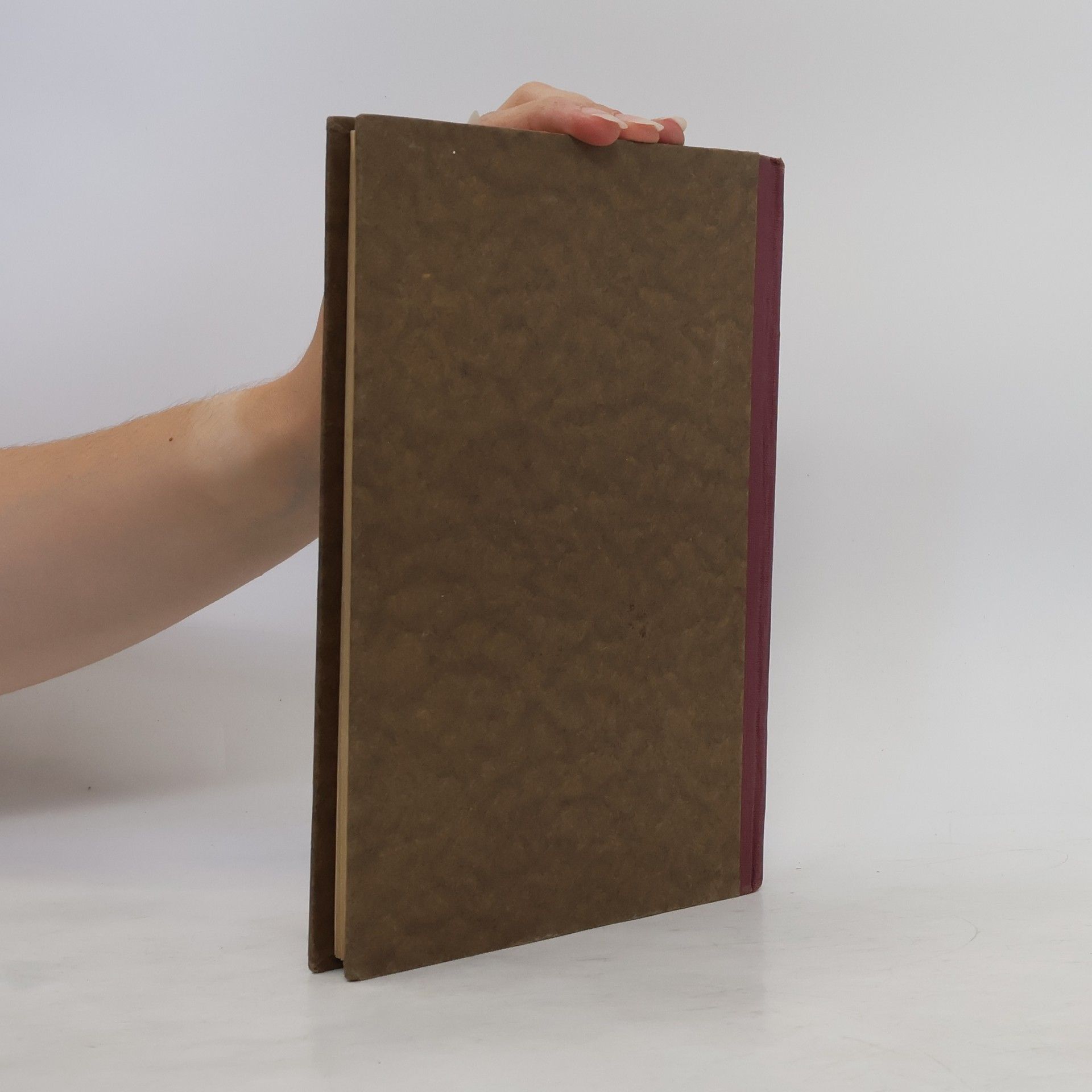 Alfred de Musset Ausgewählte Novellen