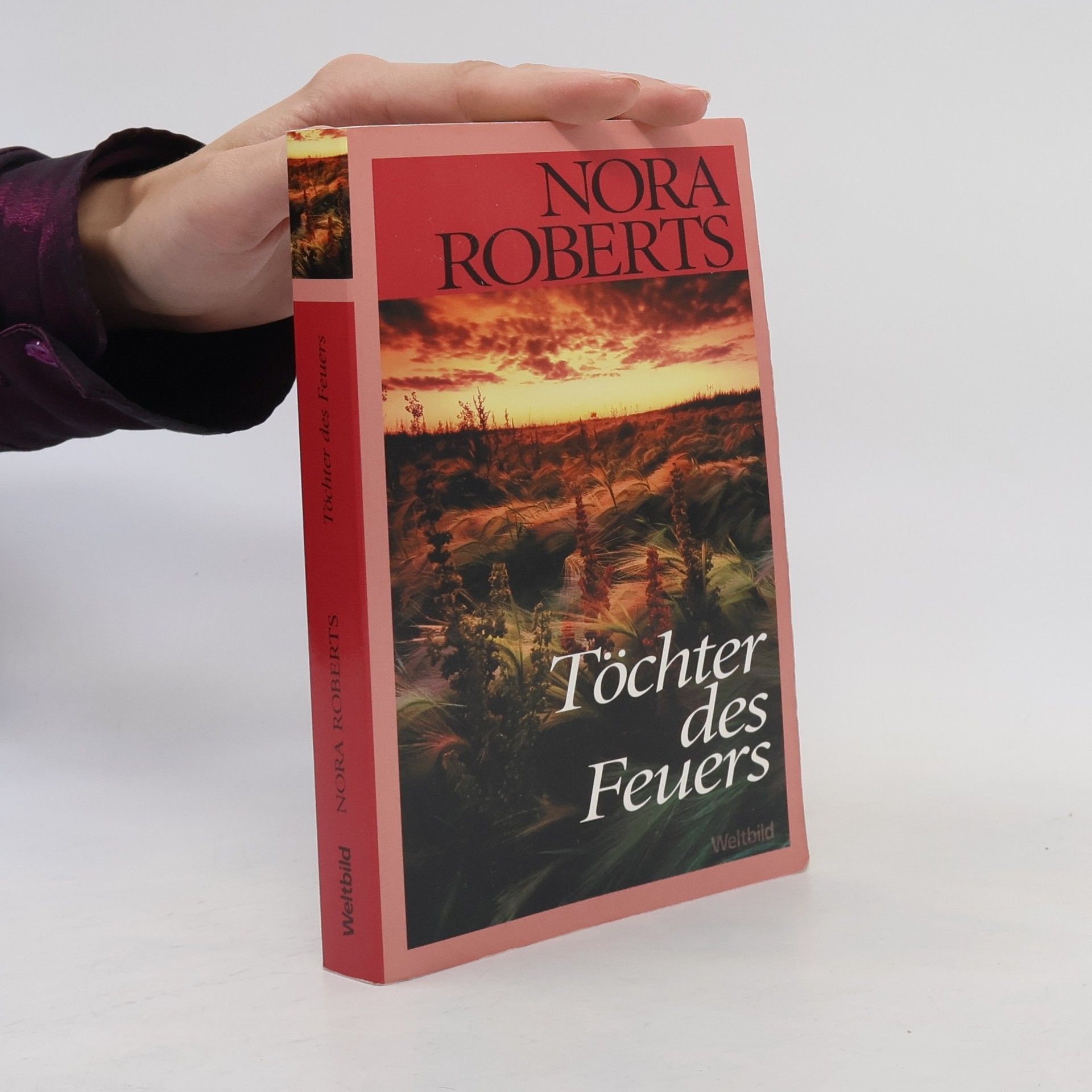 Nora Roberts Töchter des Feuers