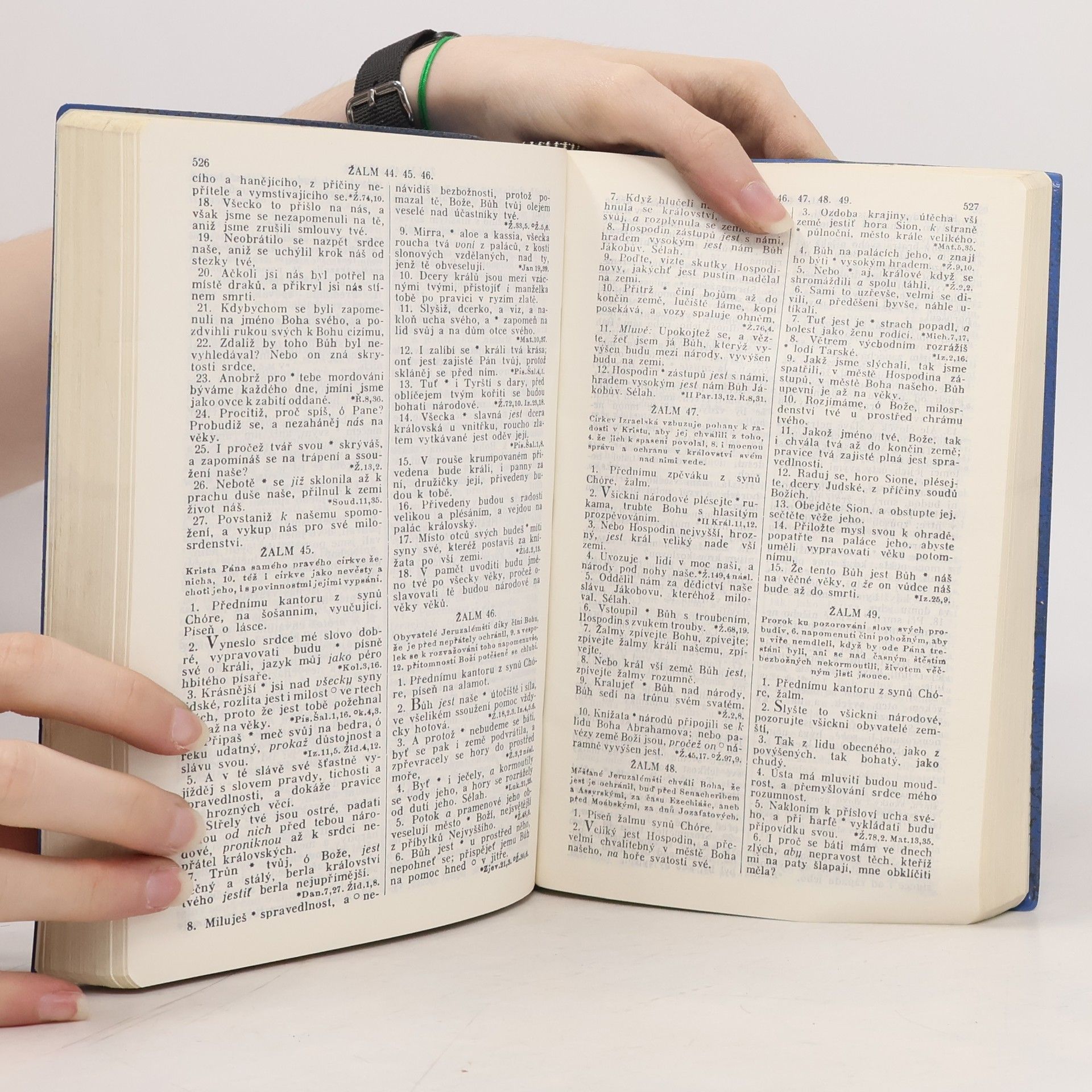 Autorenkollektiv Biblí svatá aneb všecka svatá písma Starého i Nového Zákona. Podle posledního vydání Kralického z roku 1613