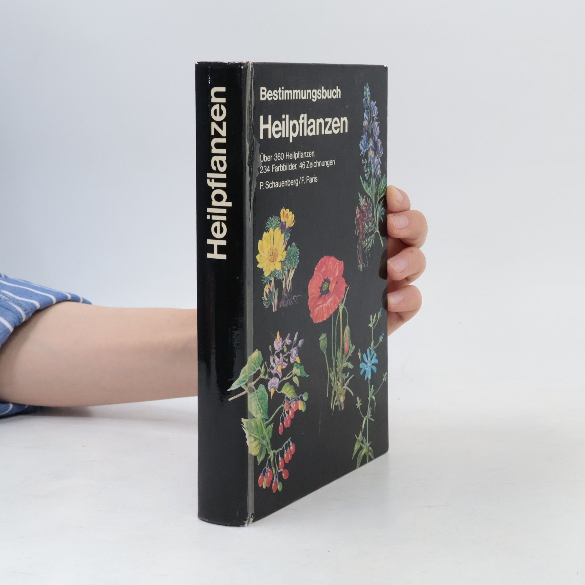 Kolektiv autorů Bestrimmungsbuch. Heilpflanzen