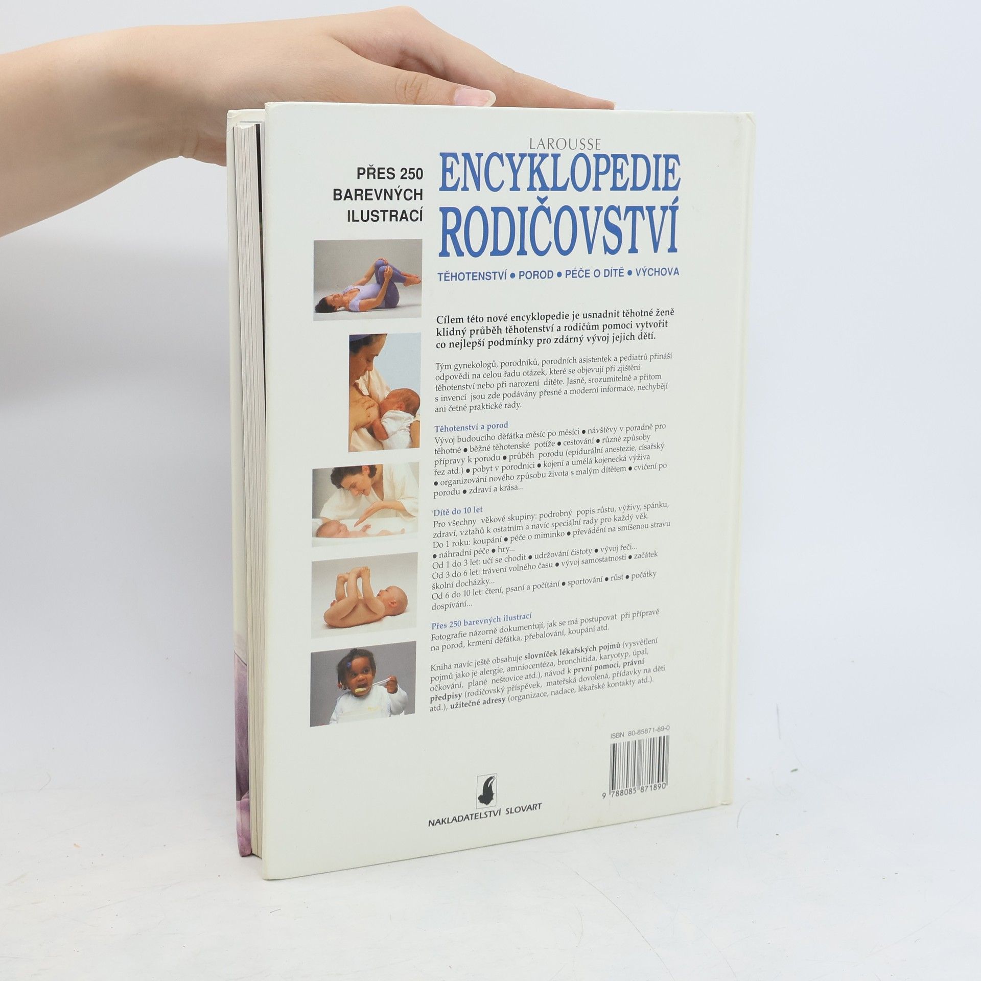 Eva Jirsová Encyklopedie rodičovství