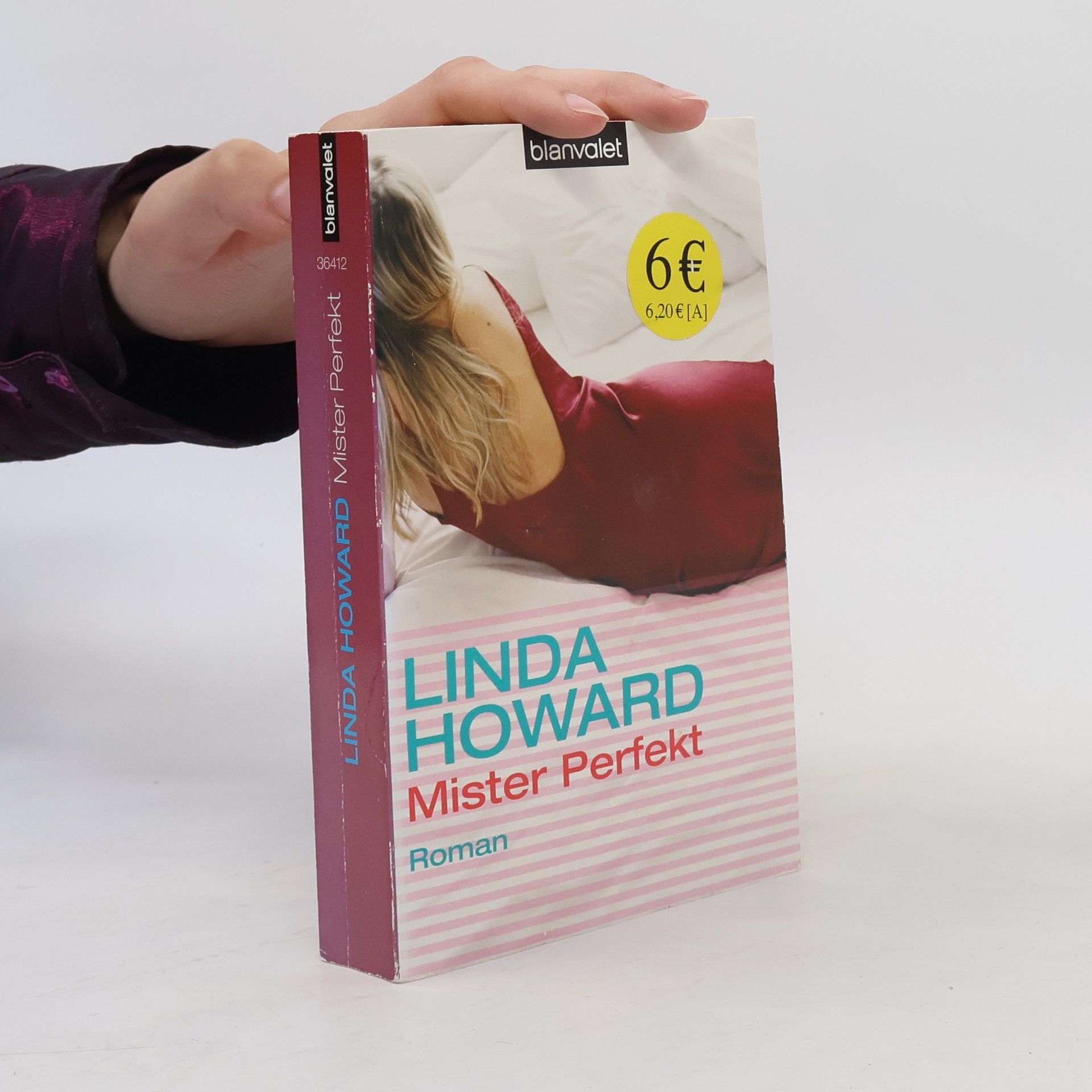 Linda Howard Mister Perfekt