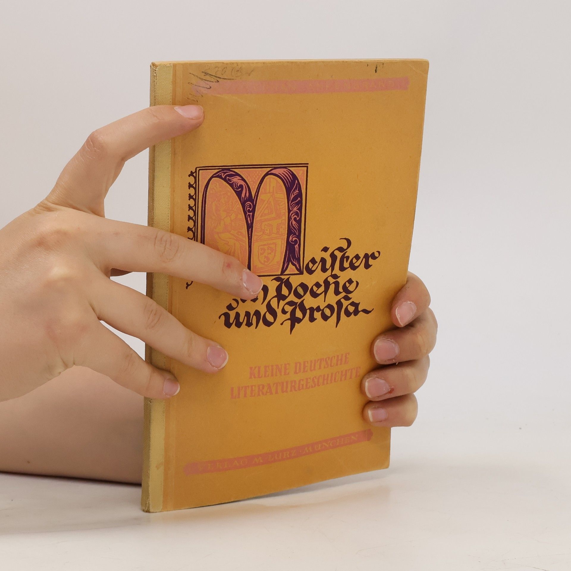 Stephan Ankenbrand Meister in Poesie und Prosa. Kleine deutsche Literaturgeschichte