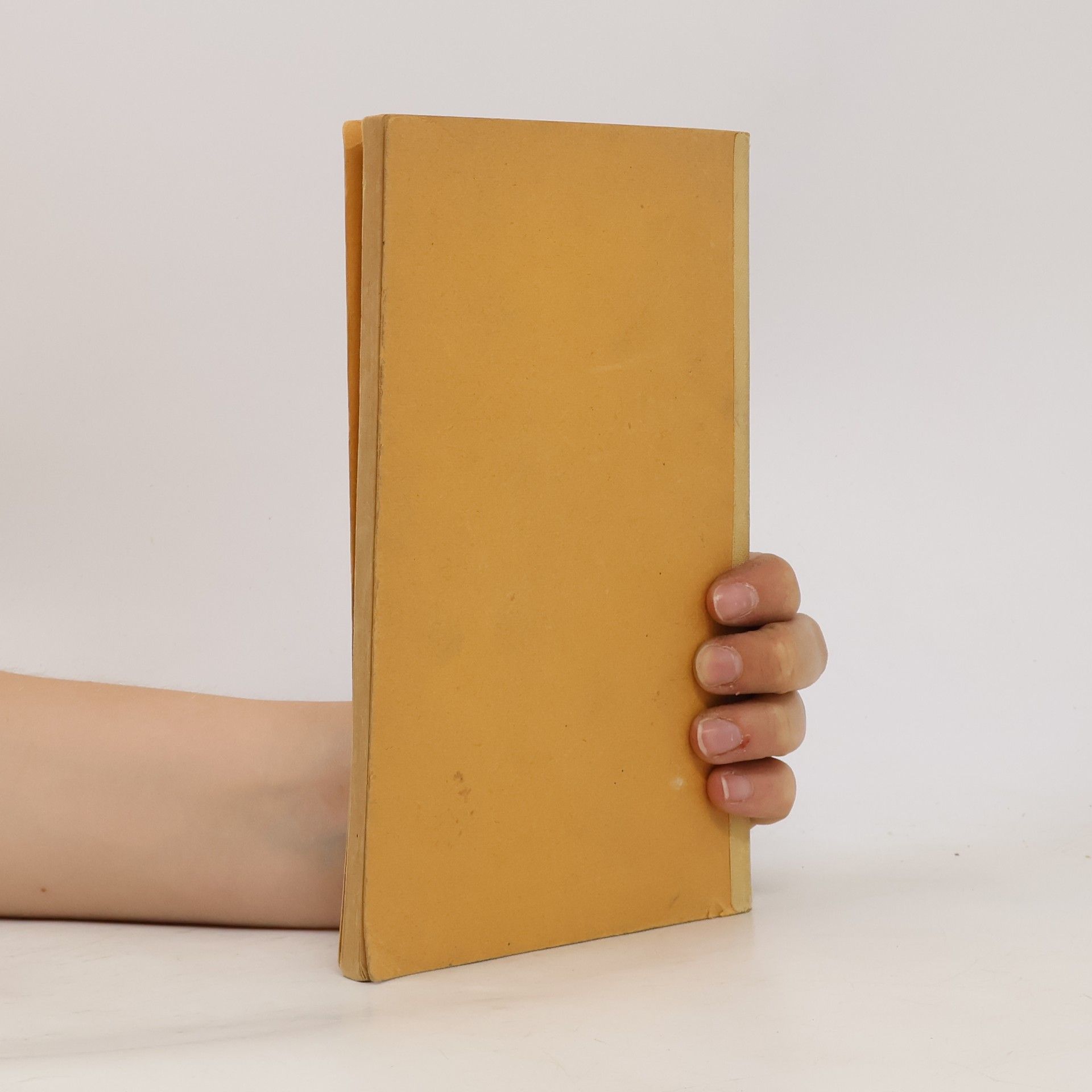 Stephan Ankenbrand Meister in Poesie und Prosa. Kleine deutsche Literaturgeschichte
