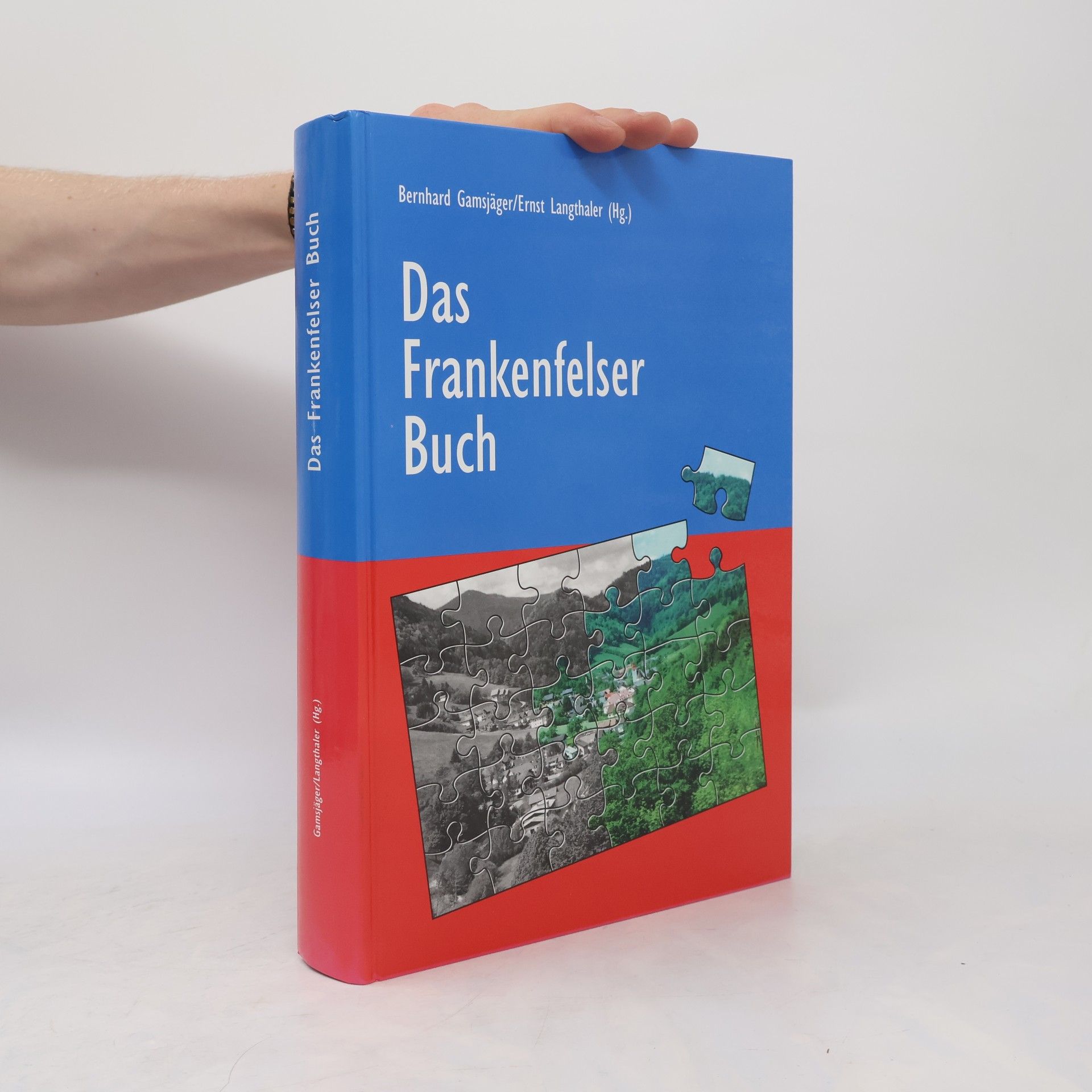 Bernhard Gamsjäger Das Frankenfelser Buch